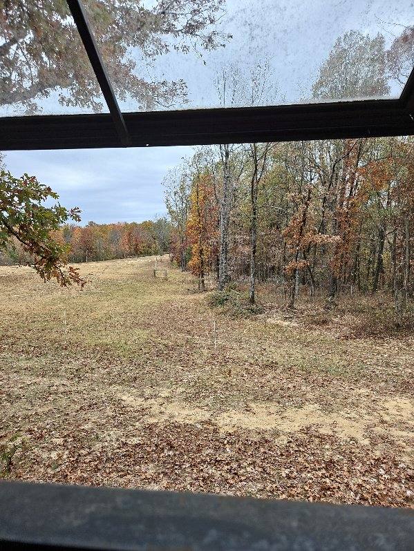 Pasture, Hay, Timber, Row Crop, Hunting Land Auction Image