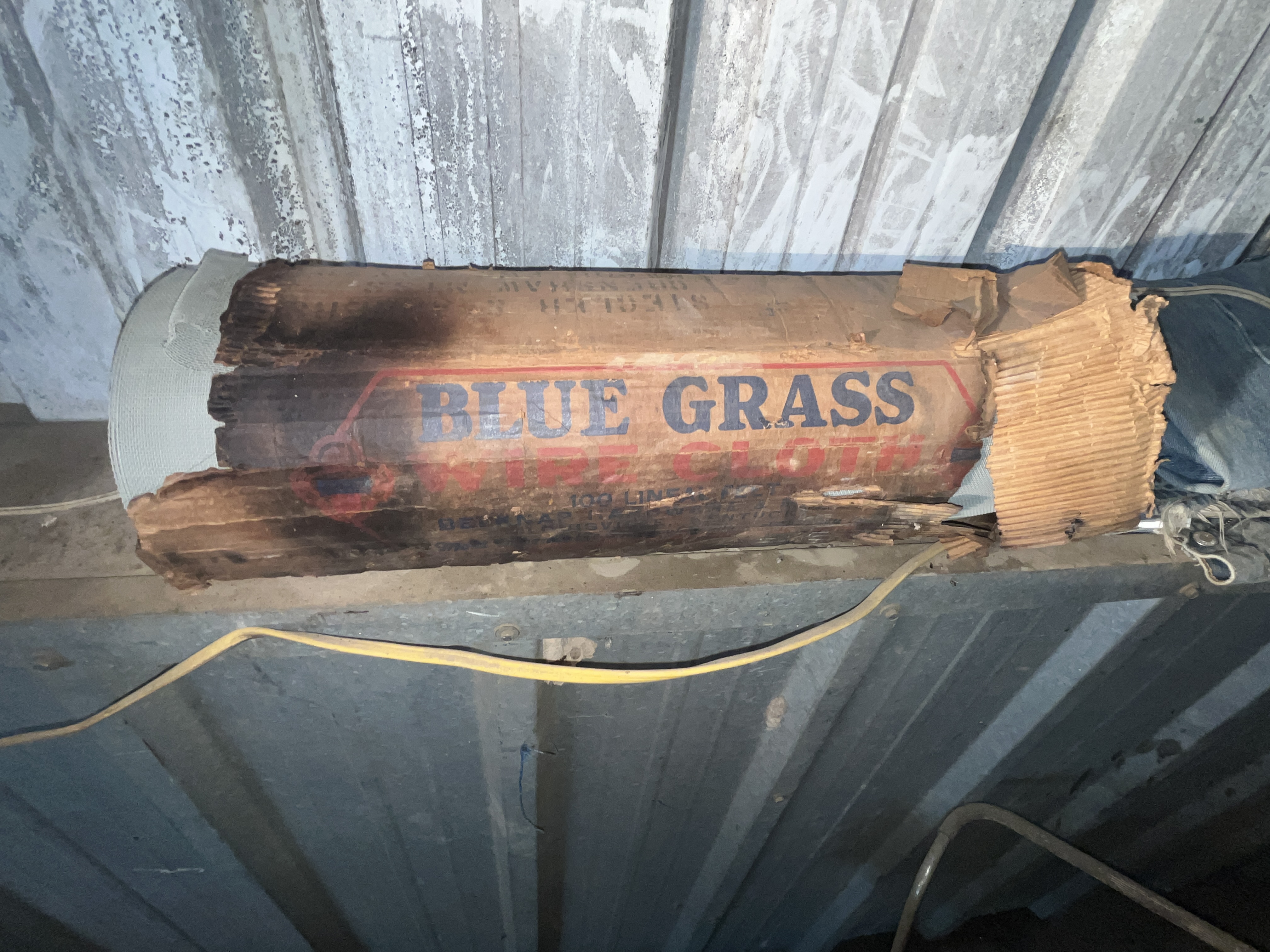 Collector's Dream Auction Image