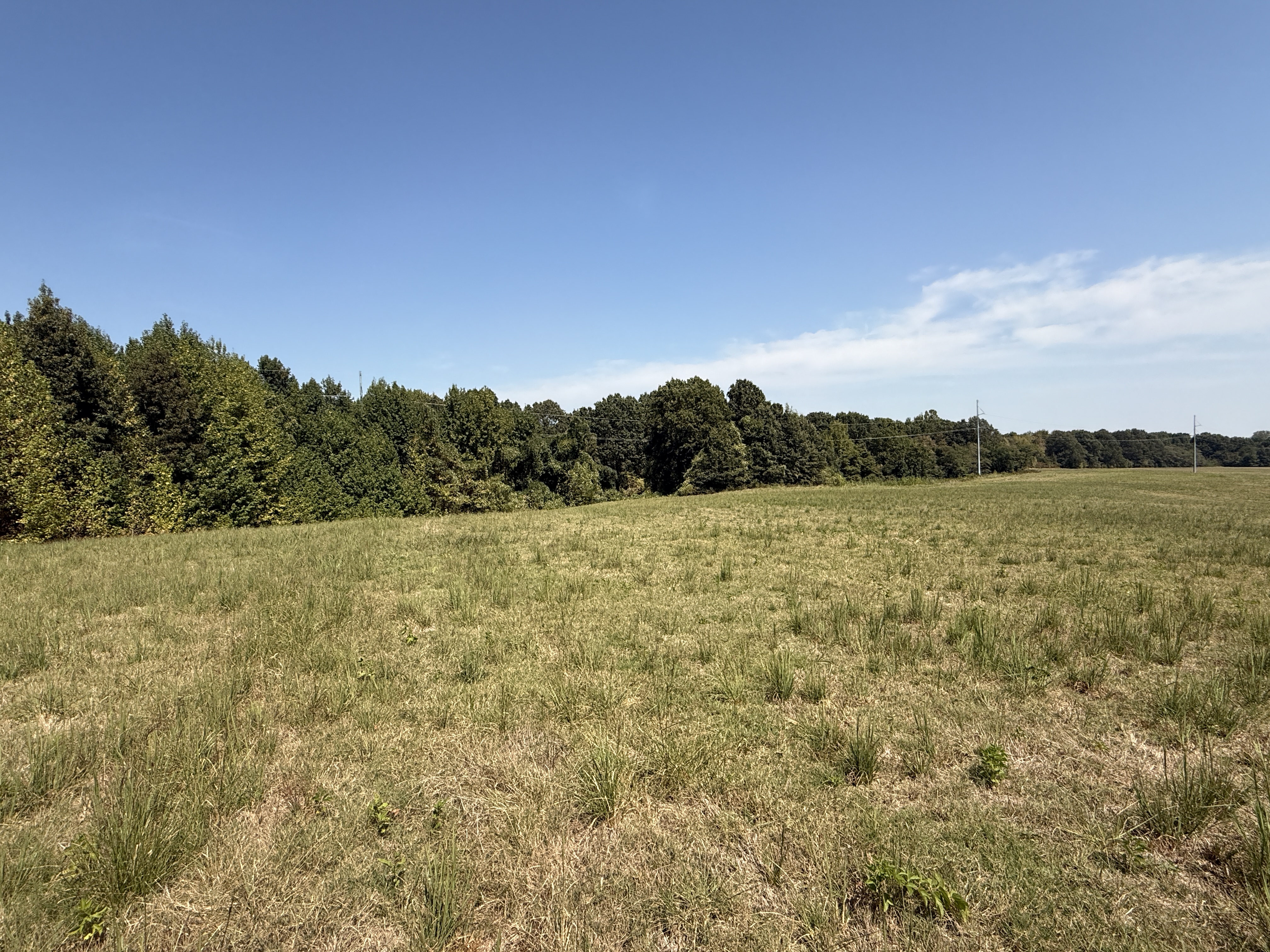 Real Estate & Personal Property Auction Image
