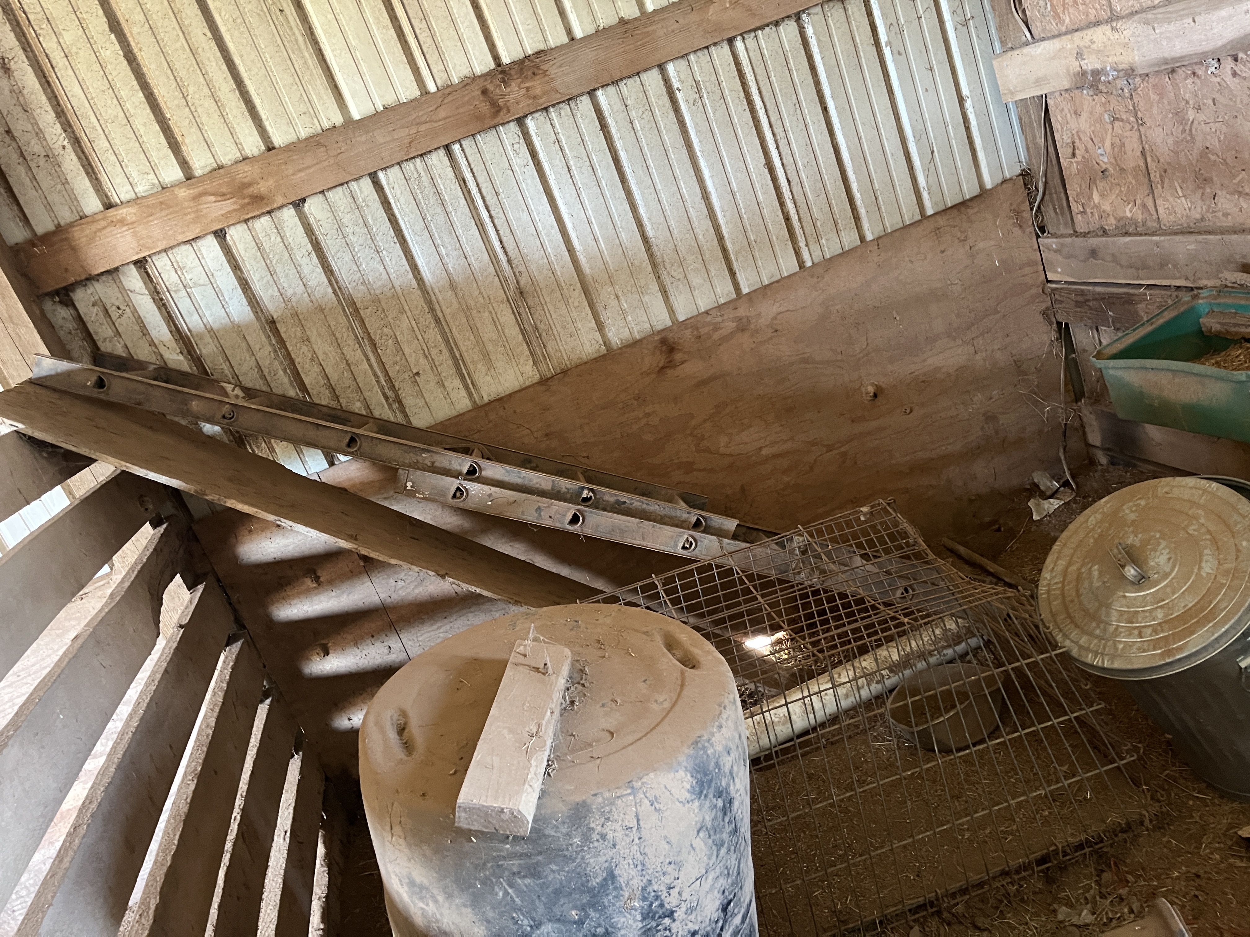 Ward Estate Auction Image