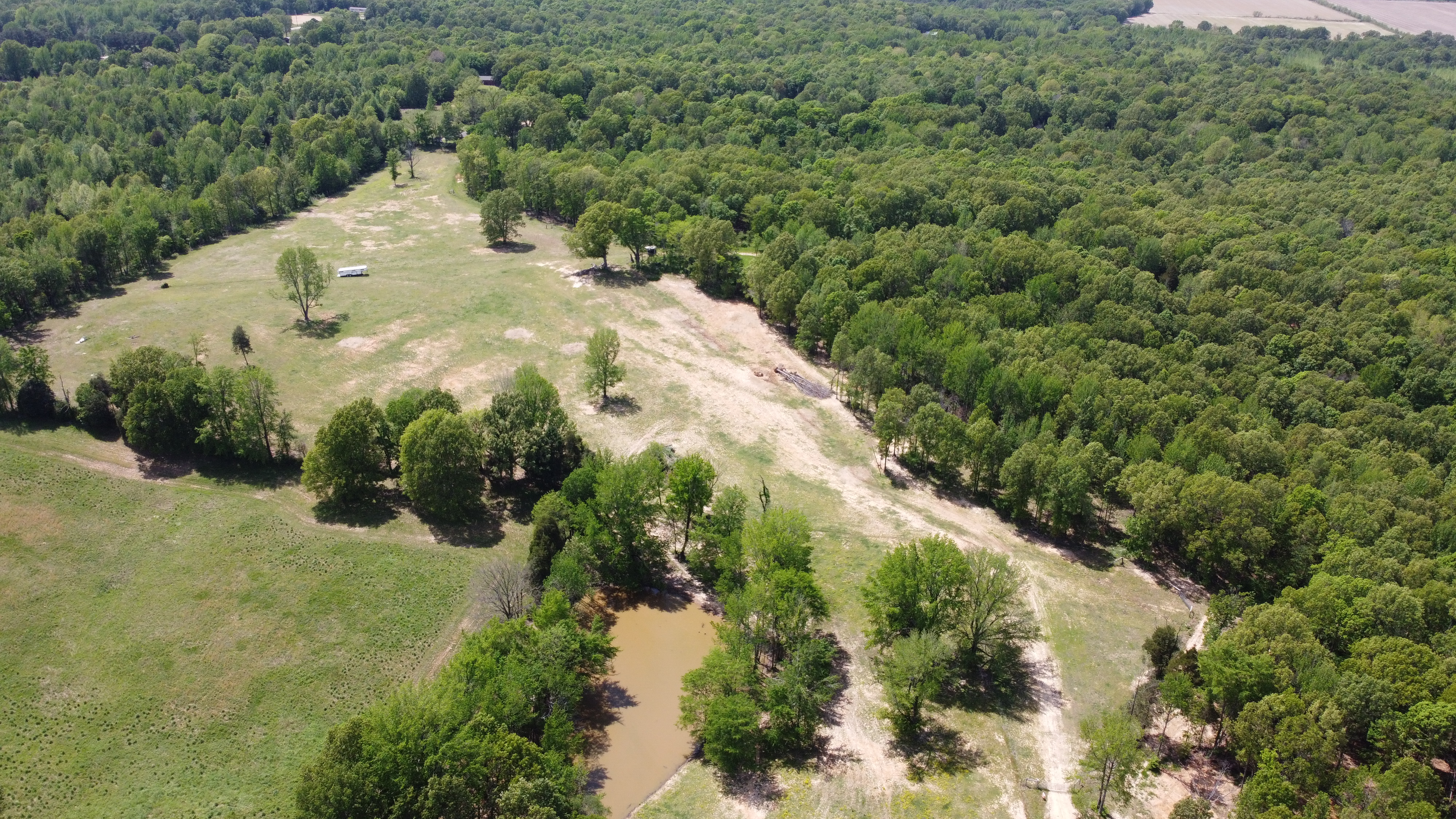 Pasture, Hay, Timber, Row Crop, Hunting Land Auction Image