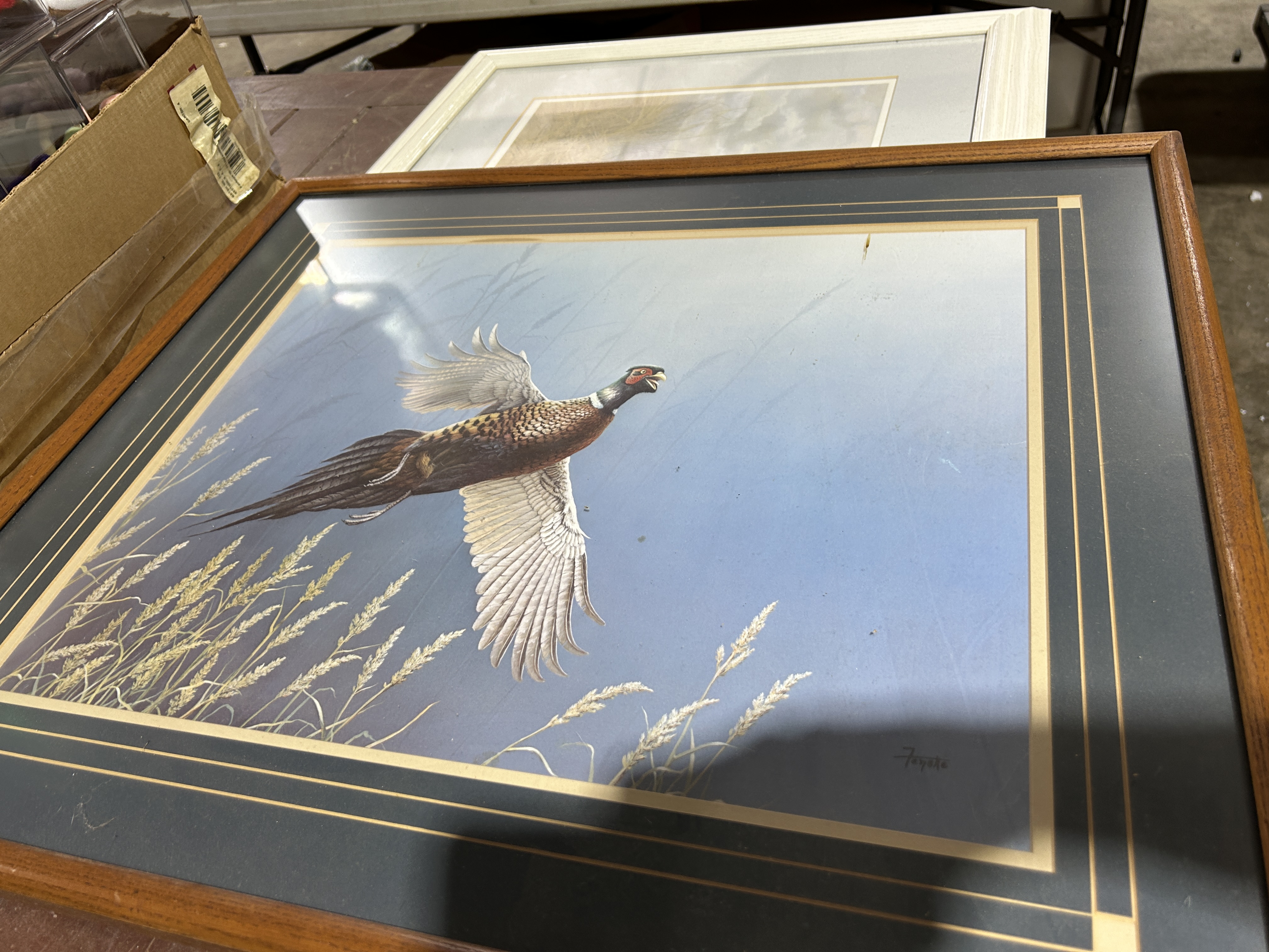 Special Auction Image