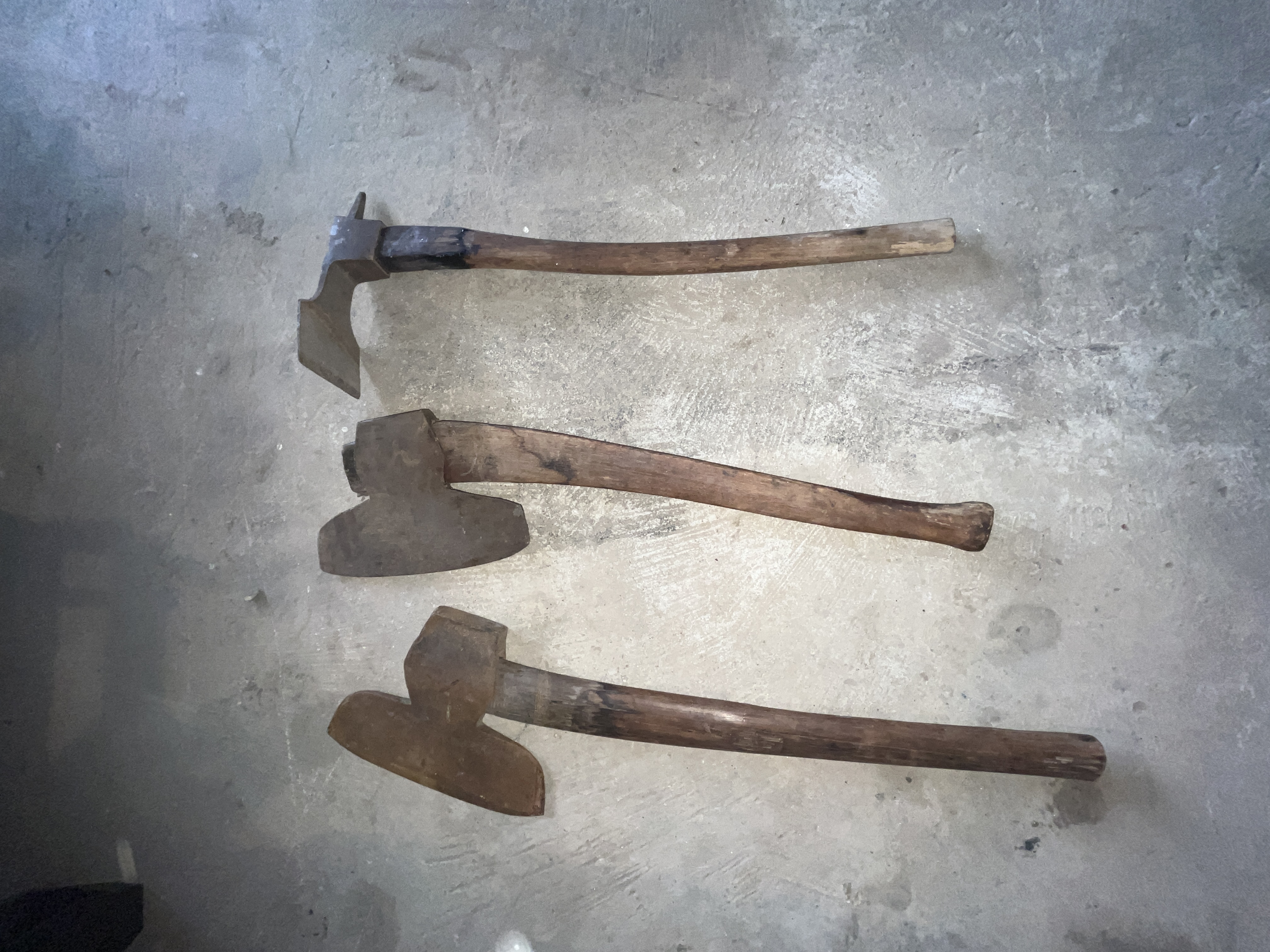 Collector's Dream Auction Image