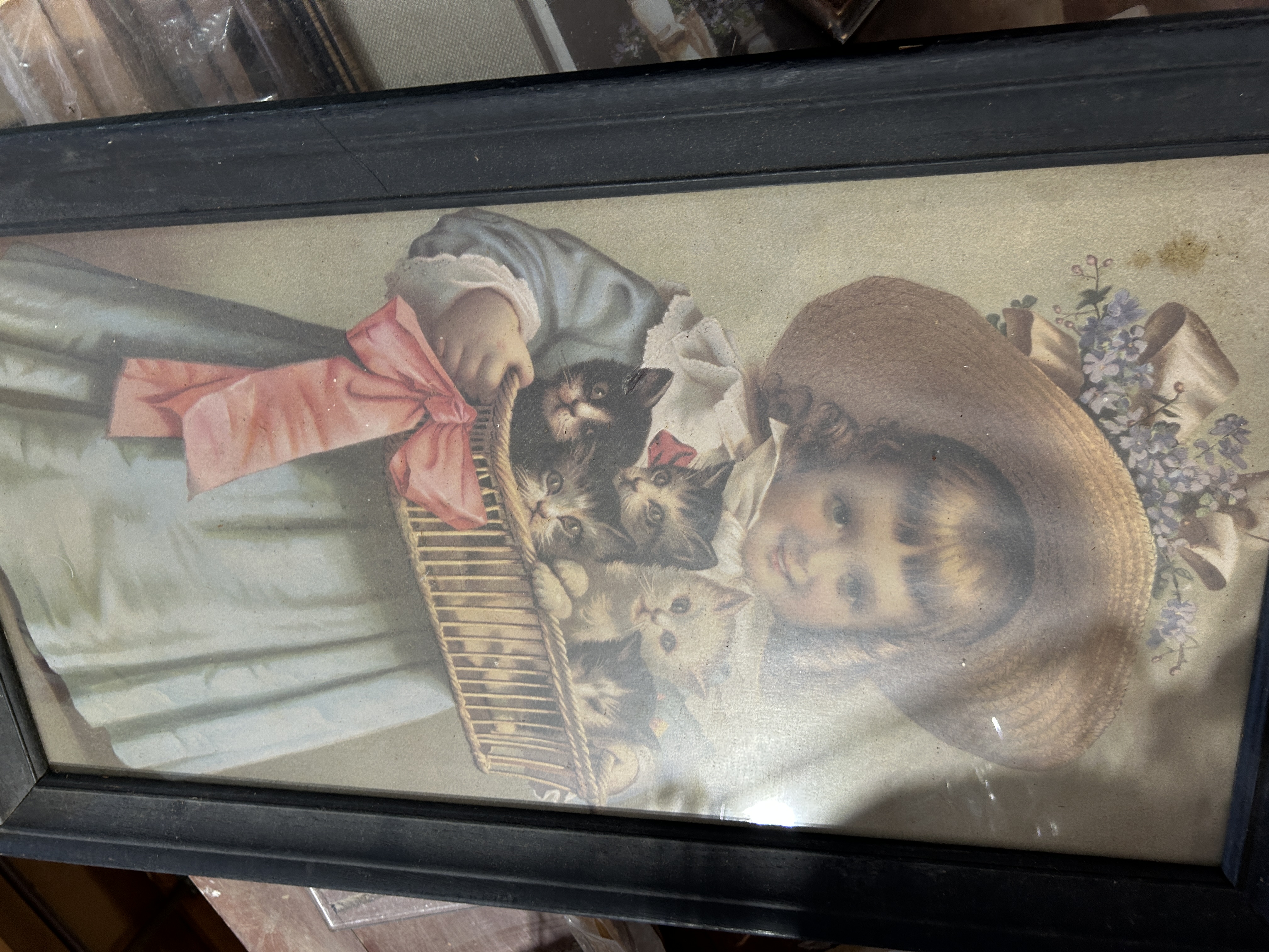 Special Auction Image