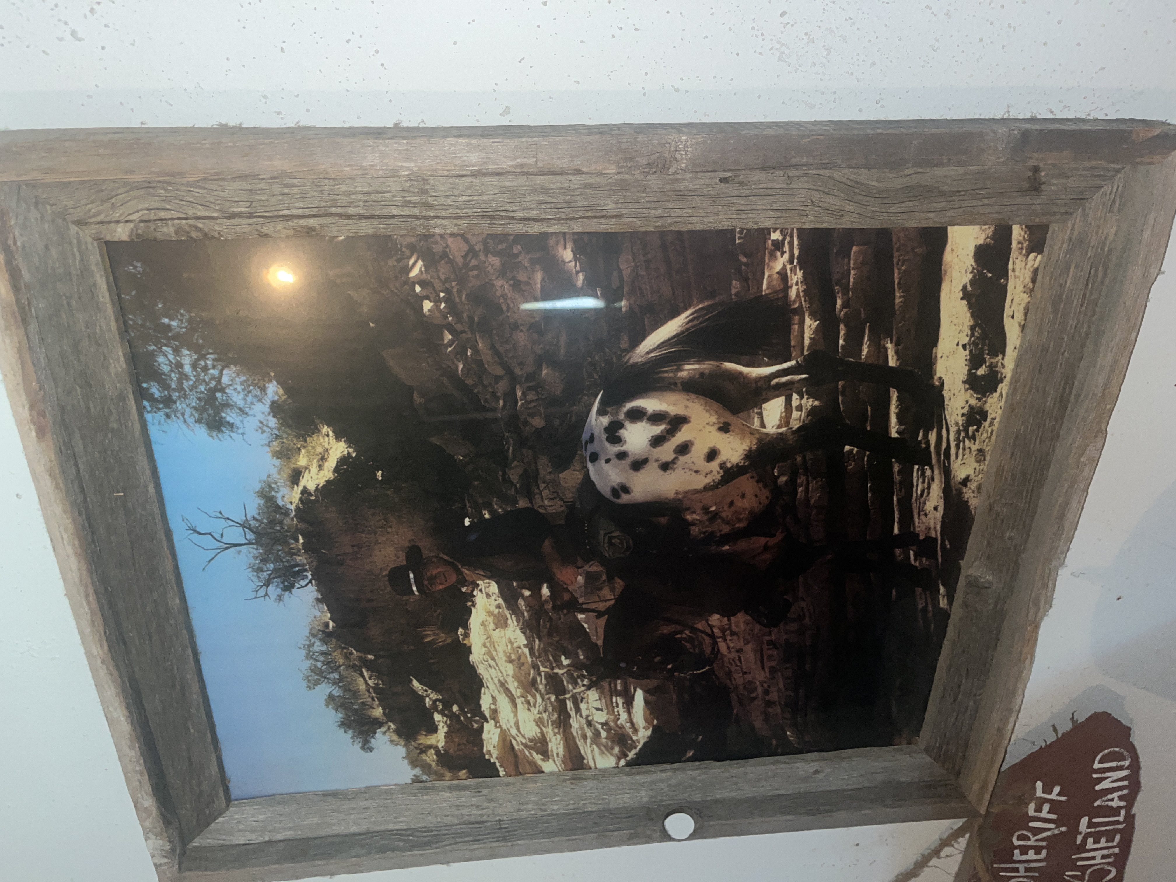 Ward Estate Auction Image