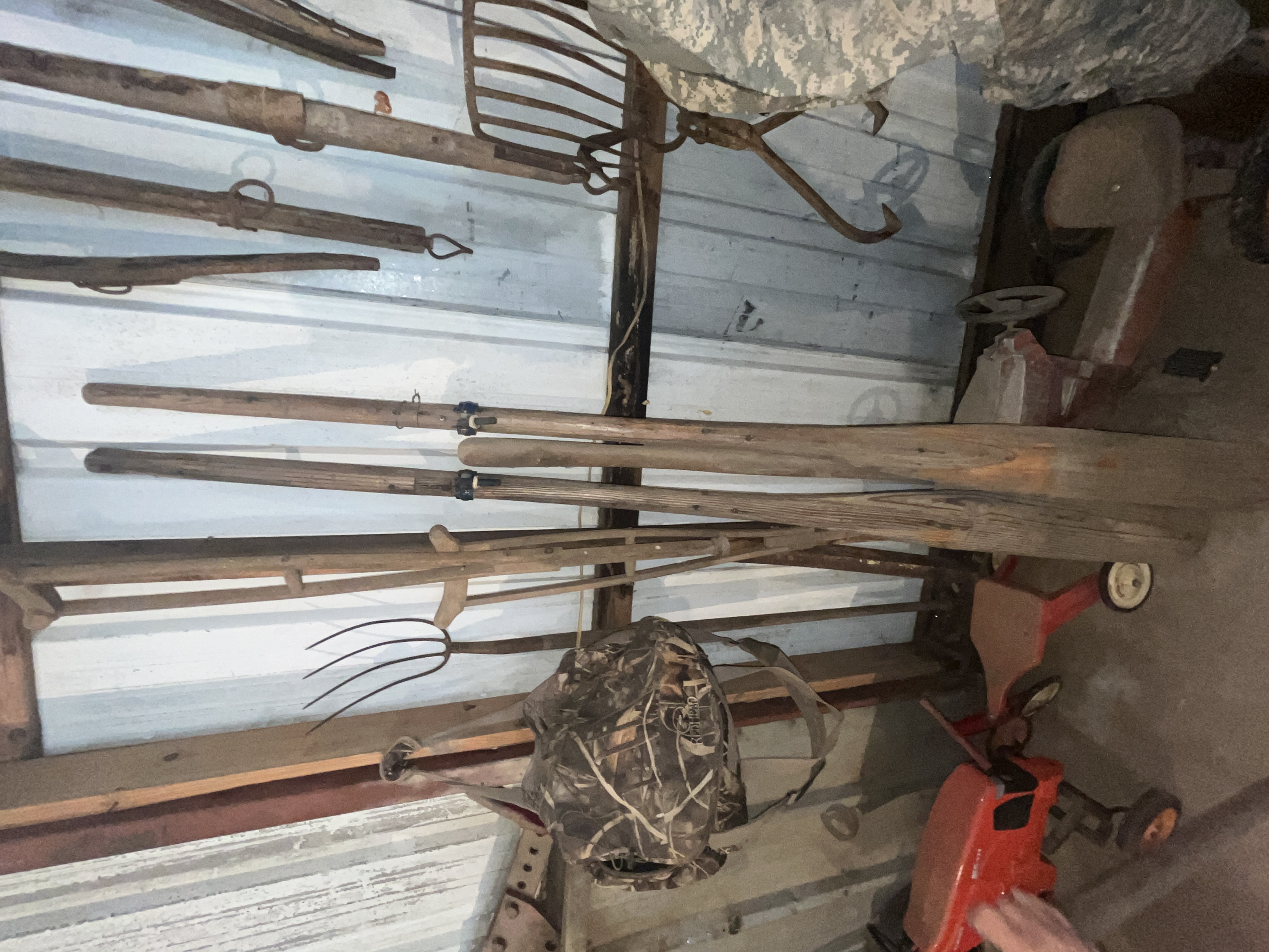 Collector's Dream Auction Image