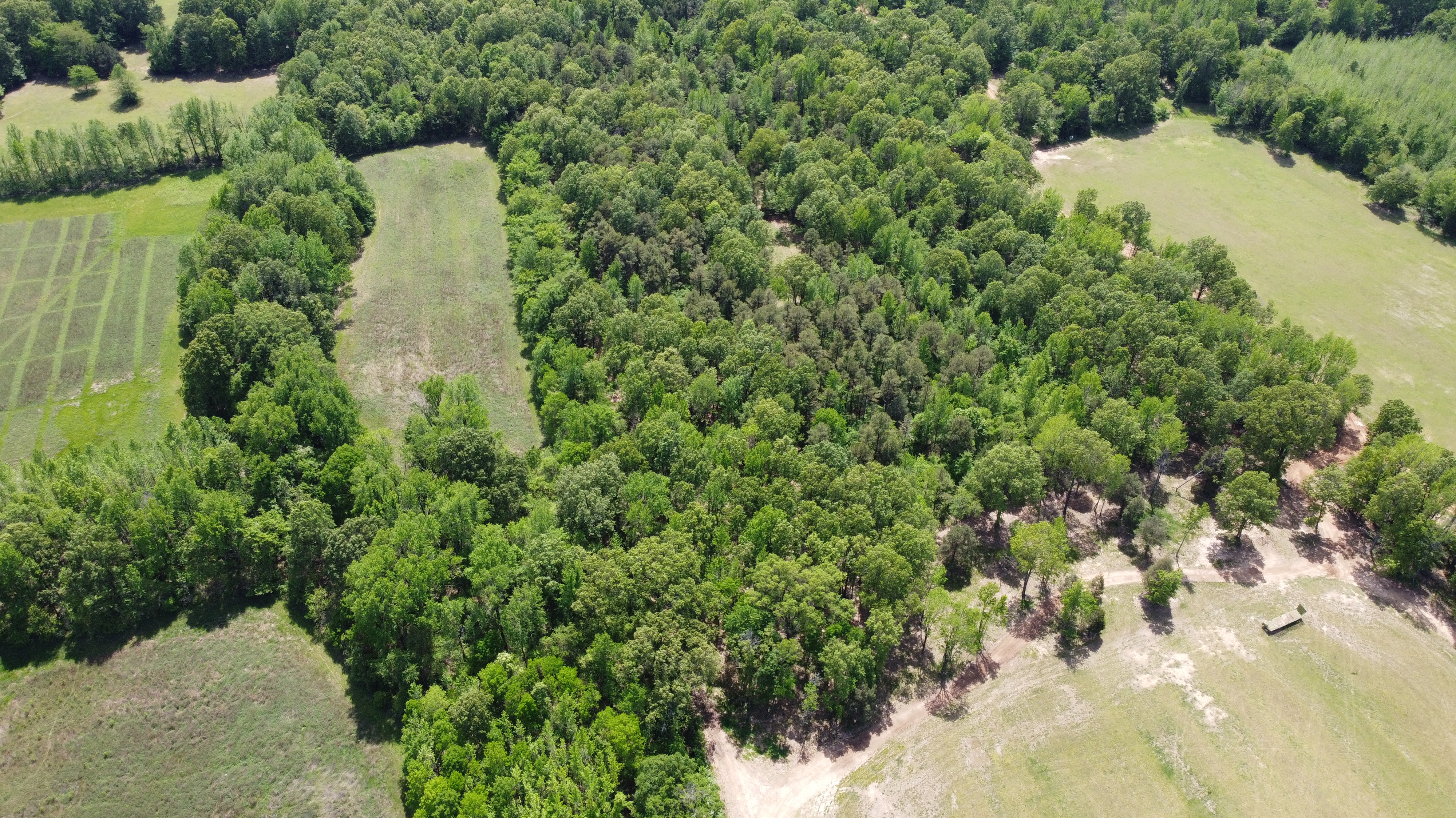 Pasture, Hay, Timber, Row Crop, Hunting Land Auction Image