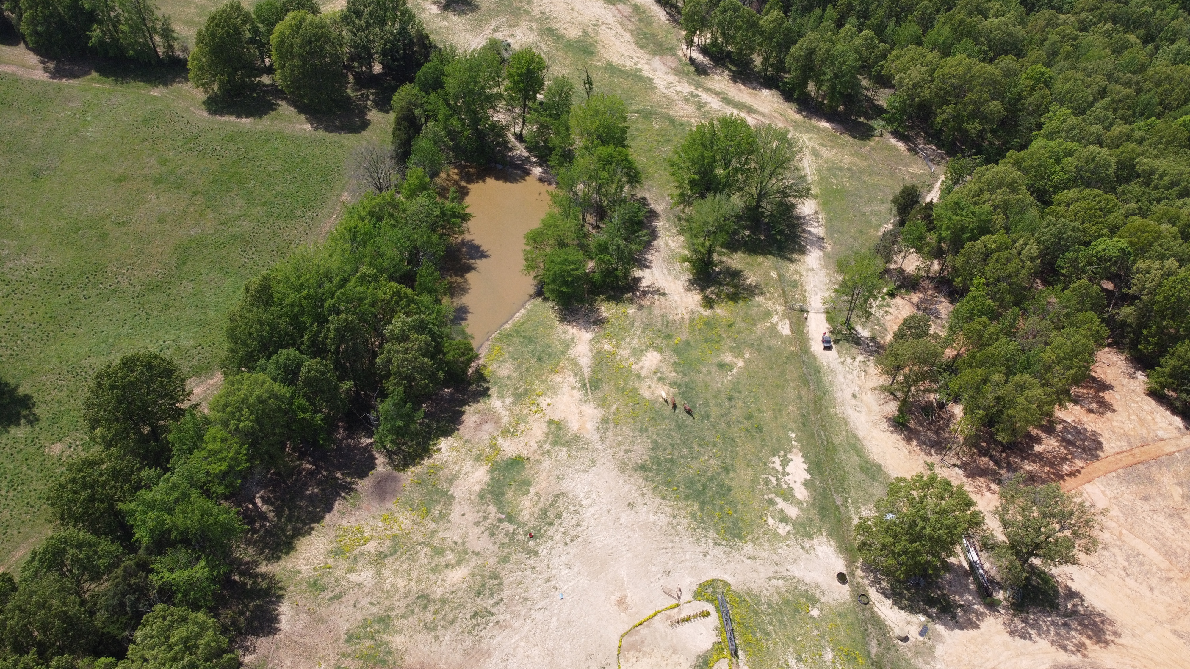 Pasture, Hay, Timber, Row Crop, Hunting Land Auction Image