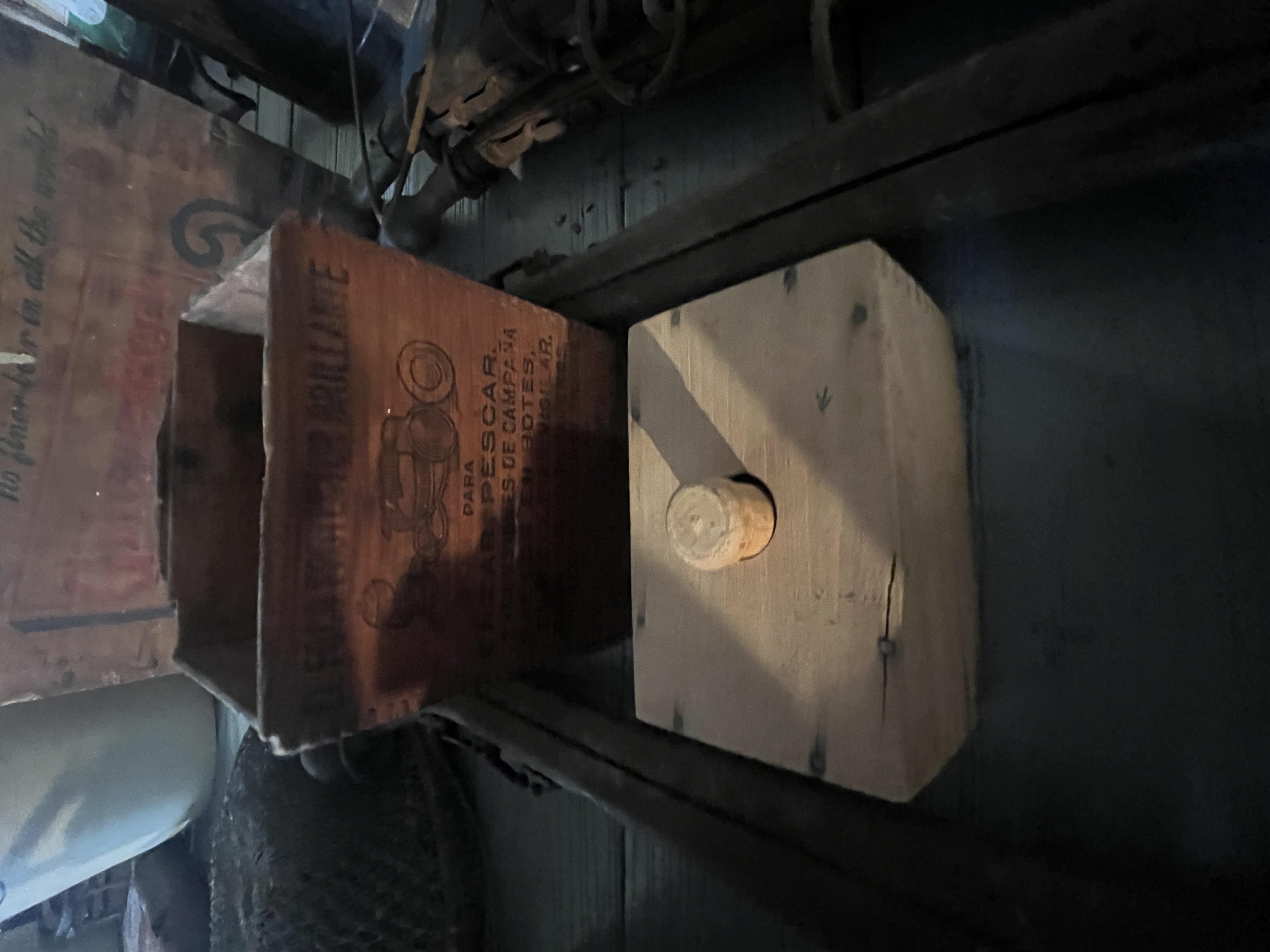 Collector's Dream Auction Image