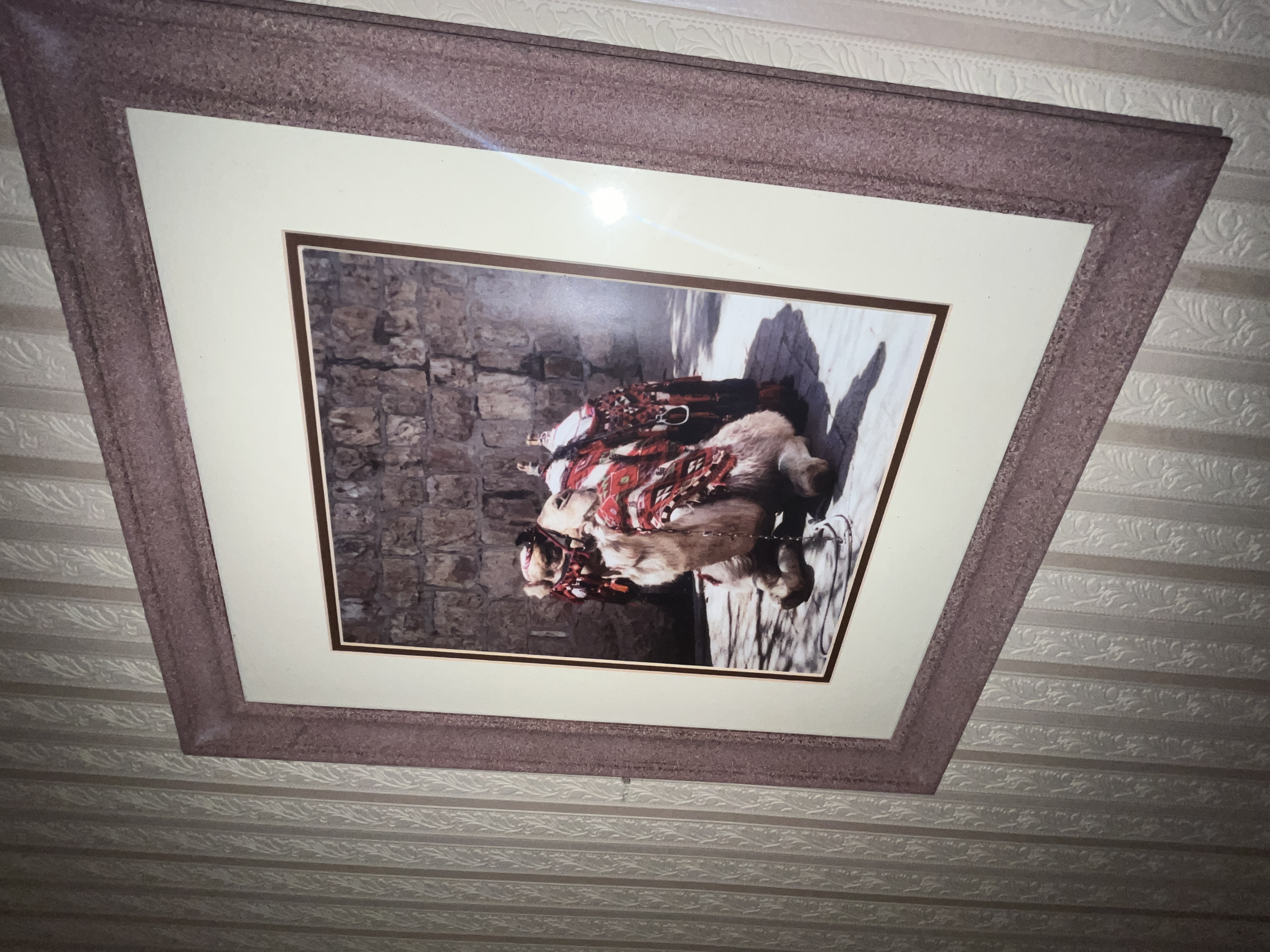Real Estate & Personal Property Auction - McClaran Estate Image