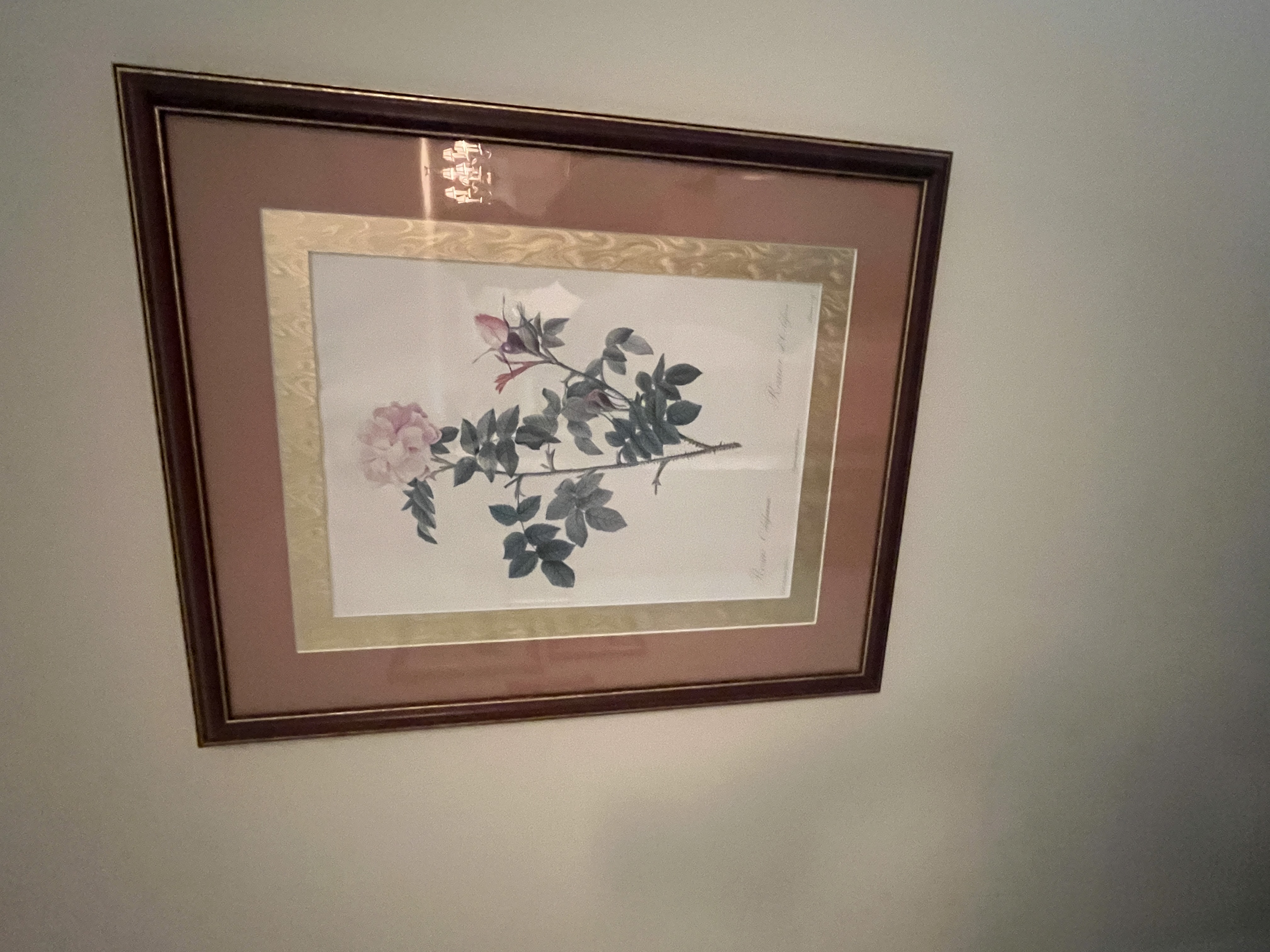Estate Auction of Alta Grim Image