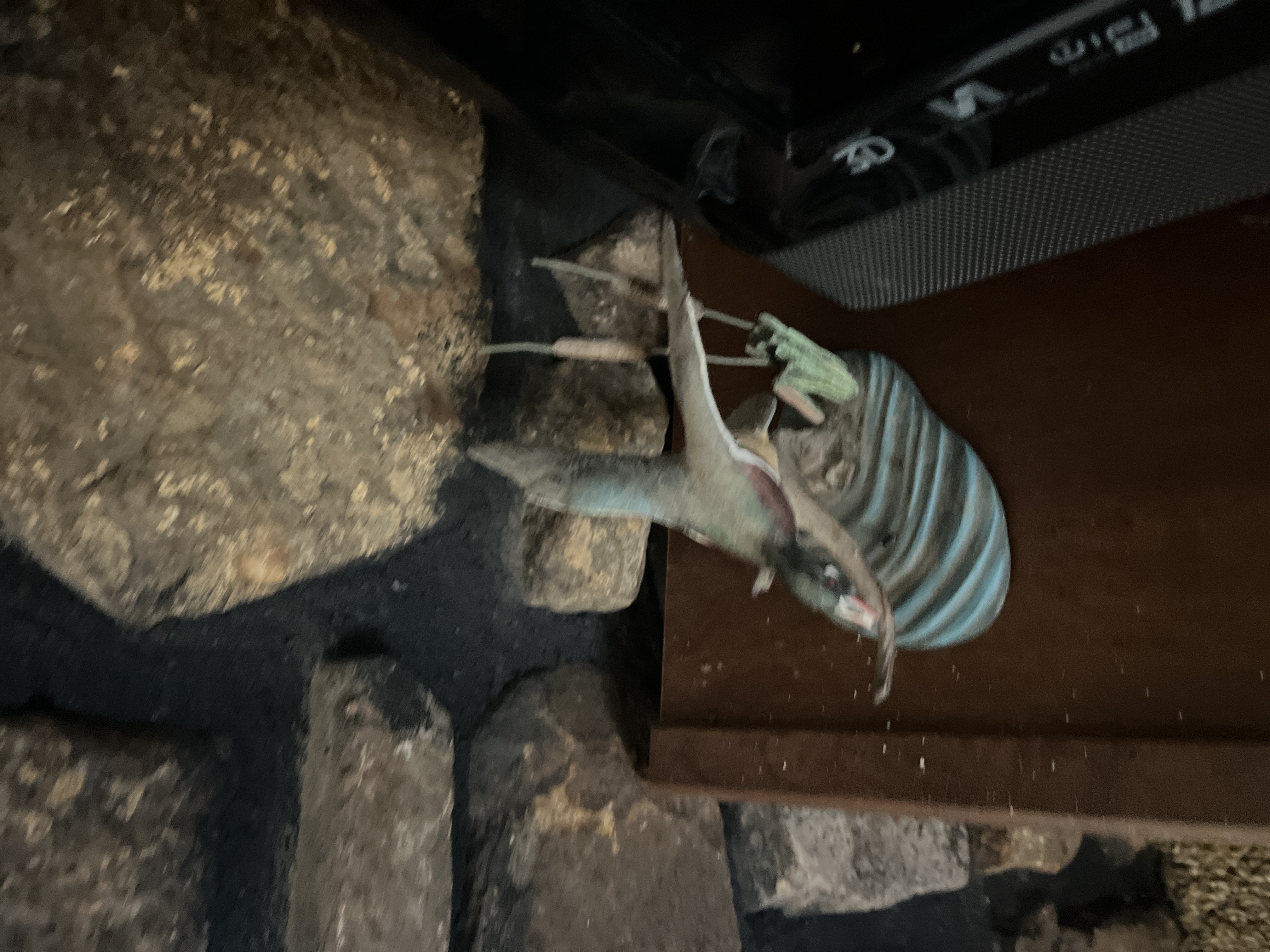 Living Estate of Ms Mary Schug Image