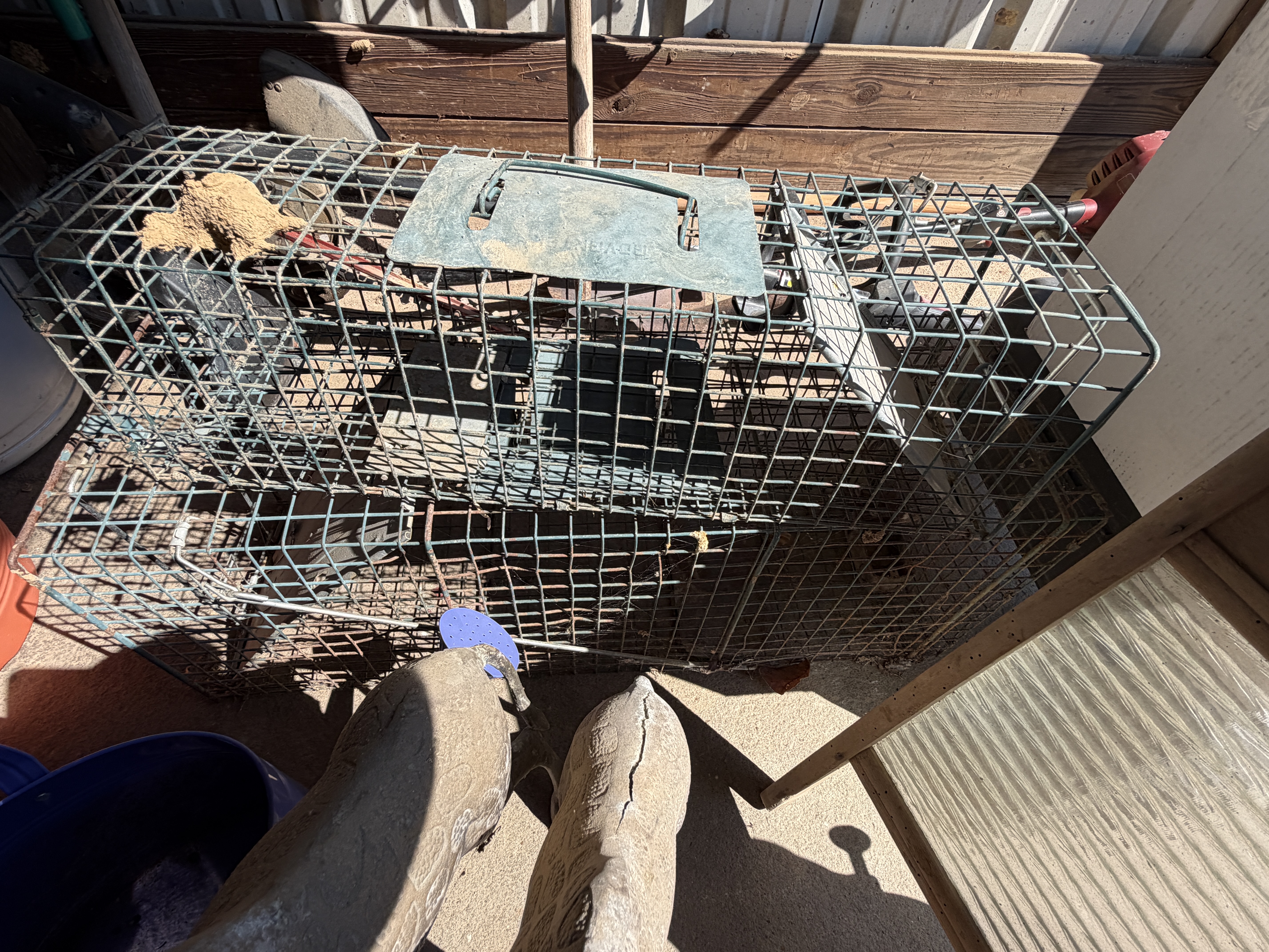 Moving/Reduction Auction Image