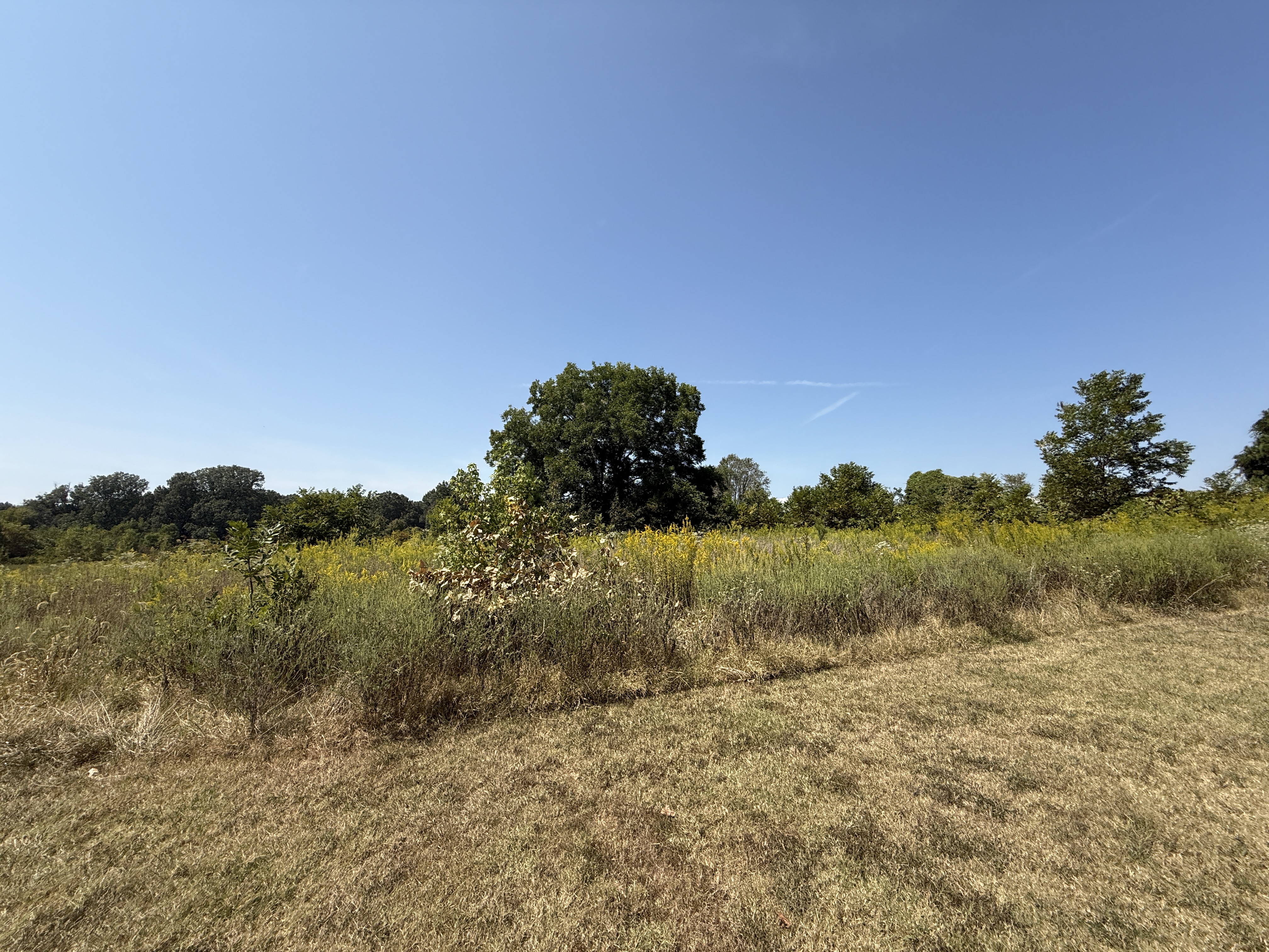 Real Estate & Personal Property Auction Image