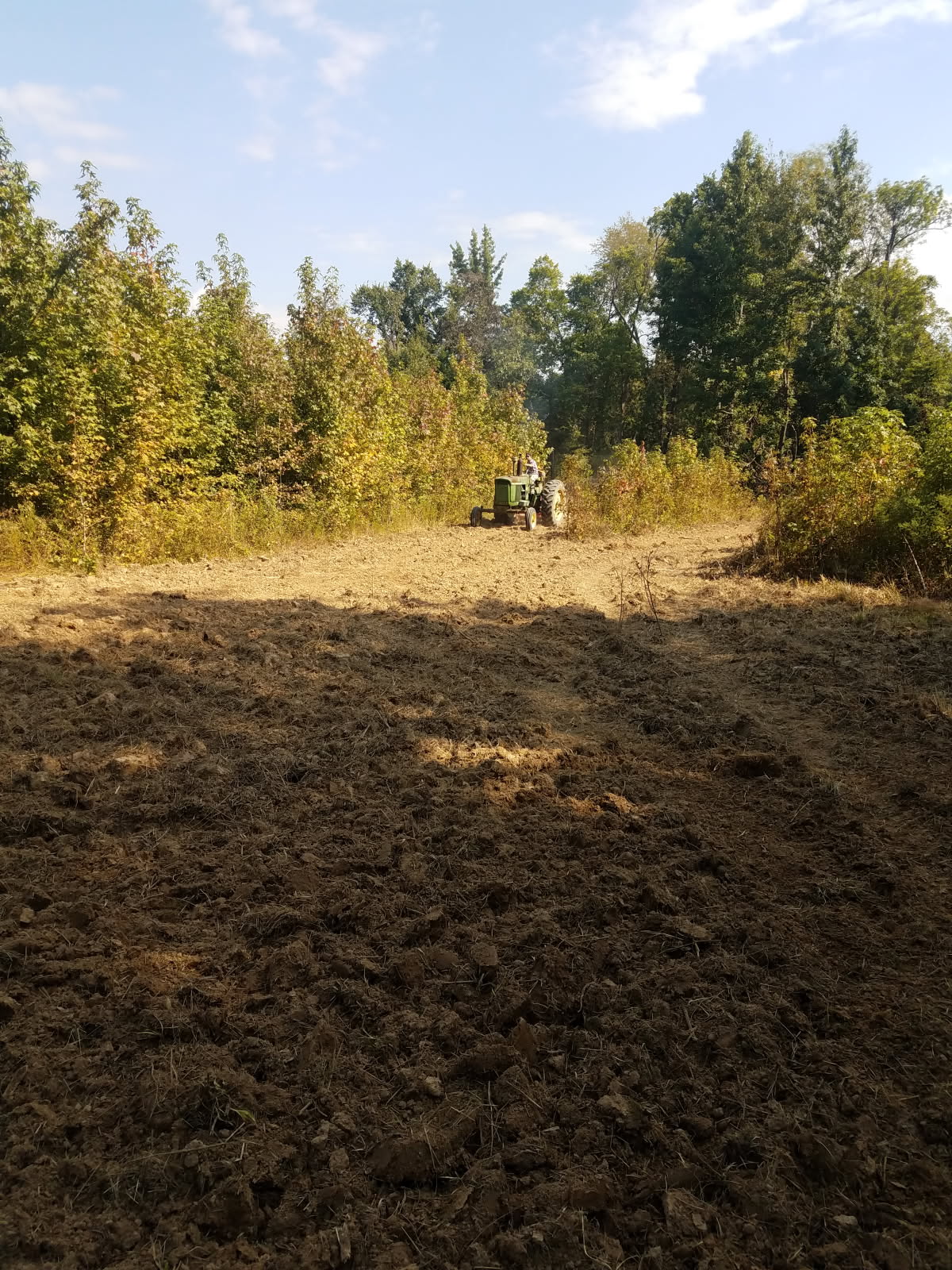 Pasture, Hay, Timber, Row Crop, Hunting Land Auction Image