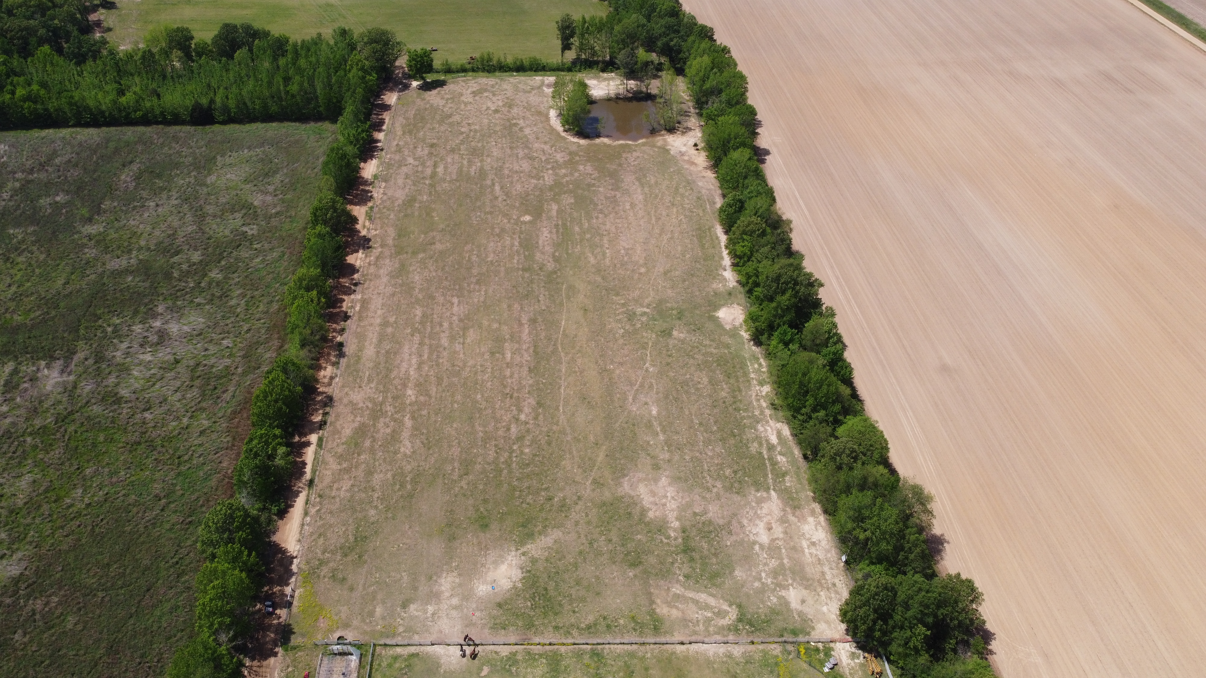 Pasture, Hay, Timber, Row Crop, Hunting Land Auction Image