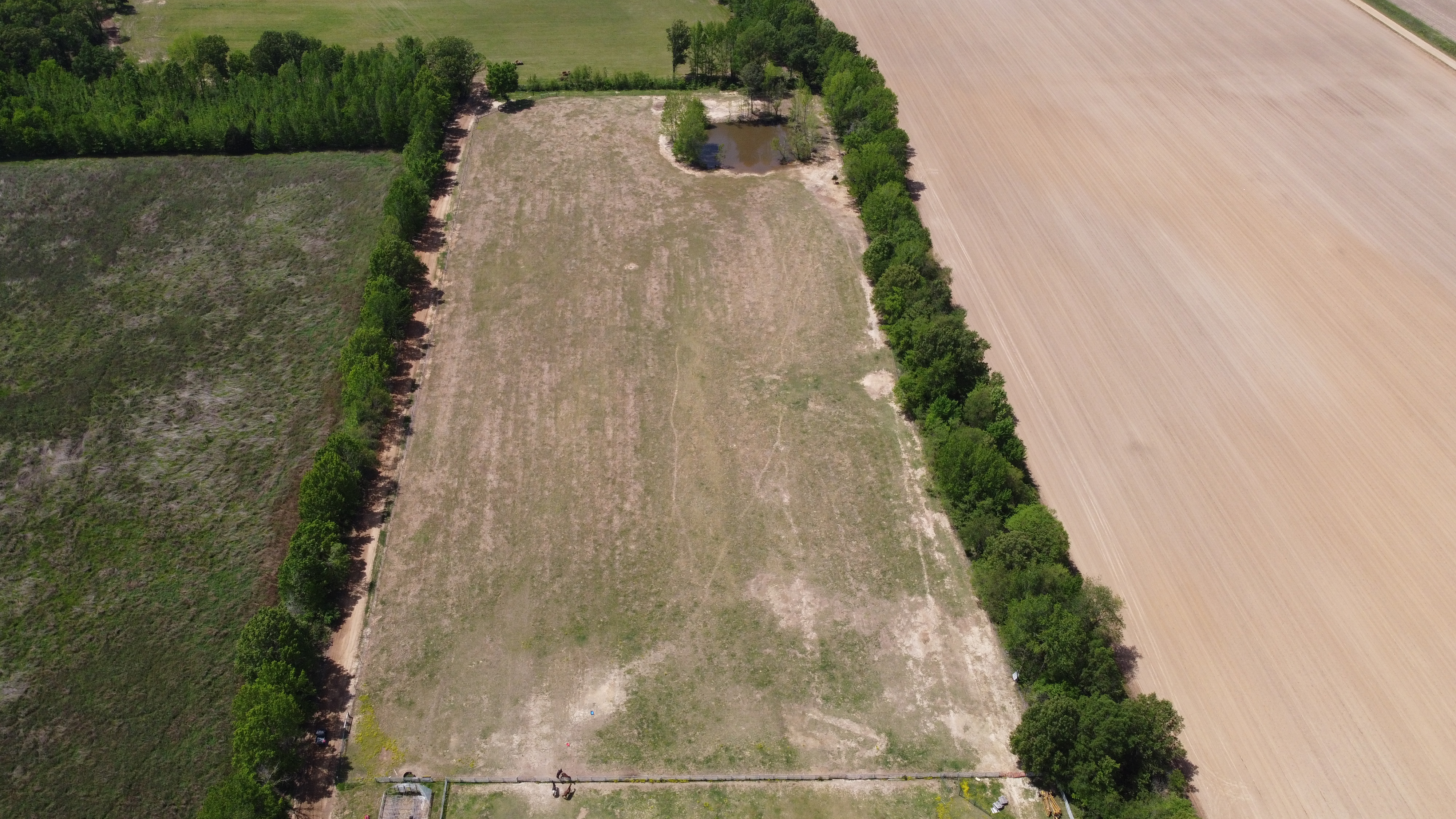 Pasture, Hay, Timber, Row Crop, Hunting Land Auction Image