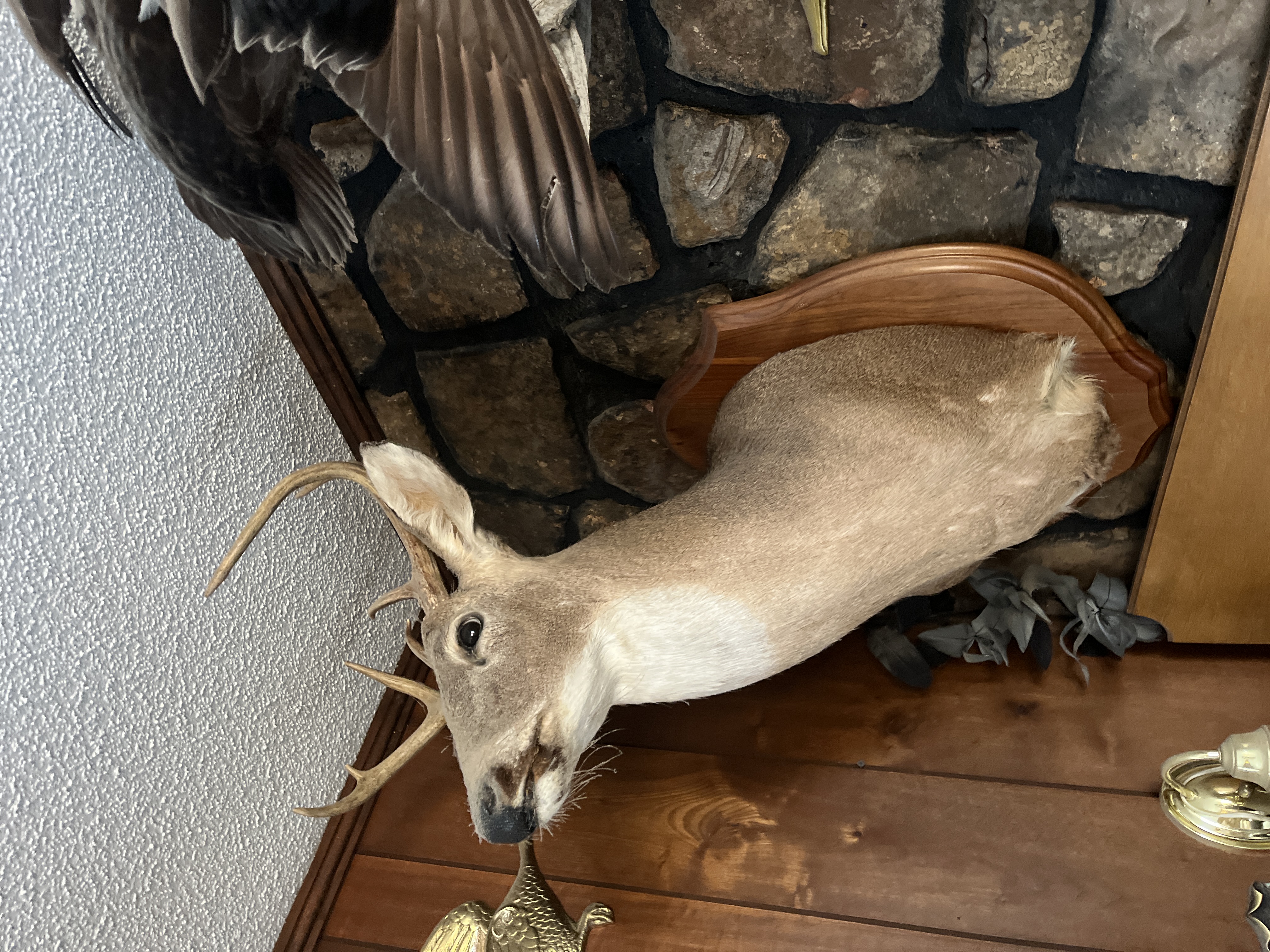 Living Estate of Ms Mary Schug Image