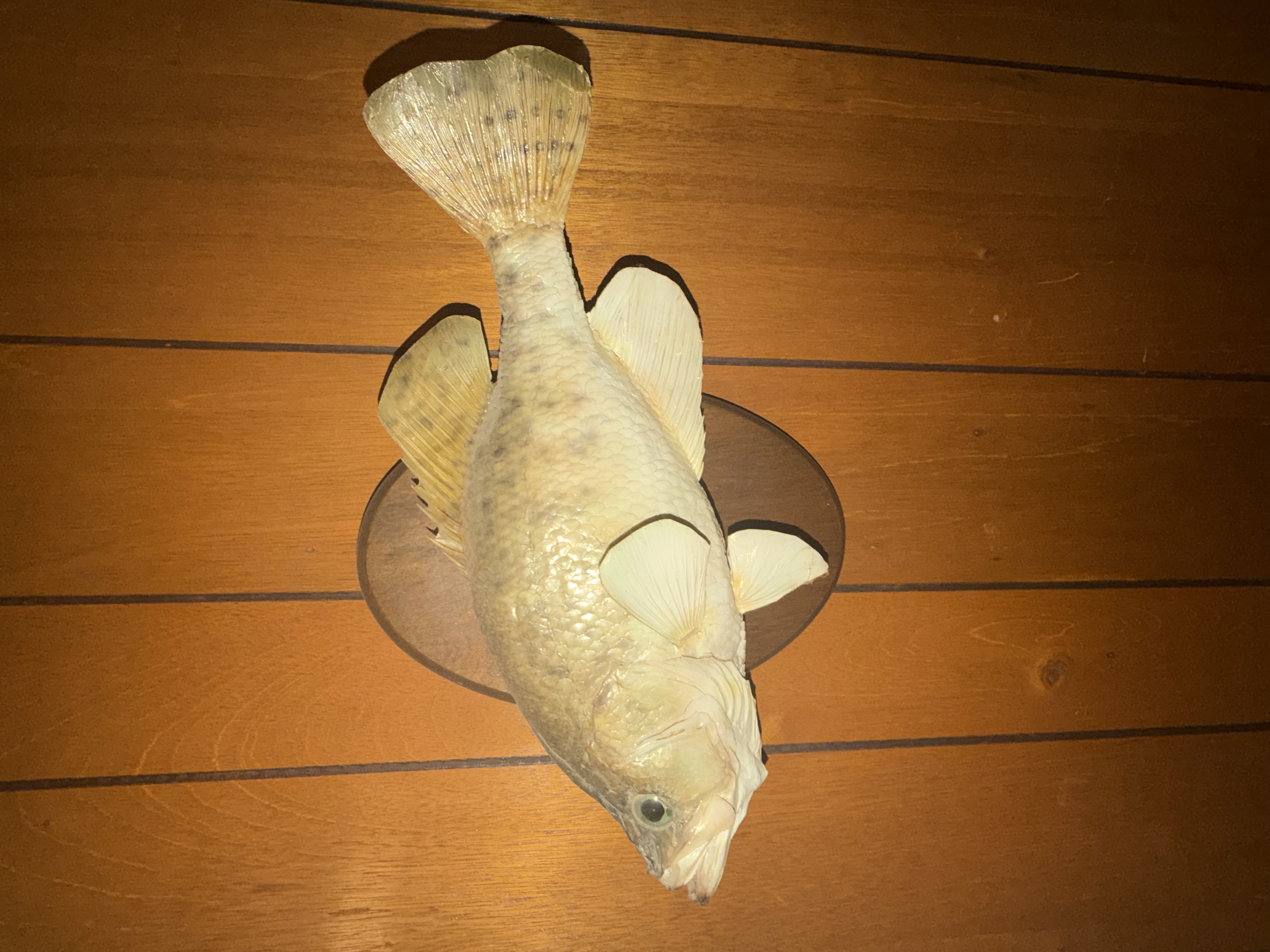 Estate Auction Image