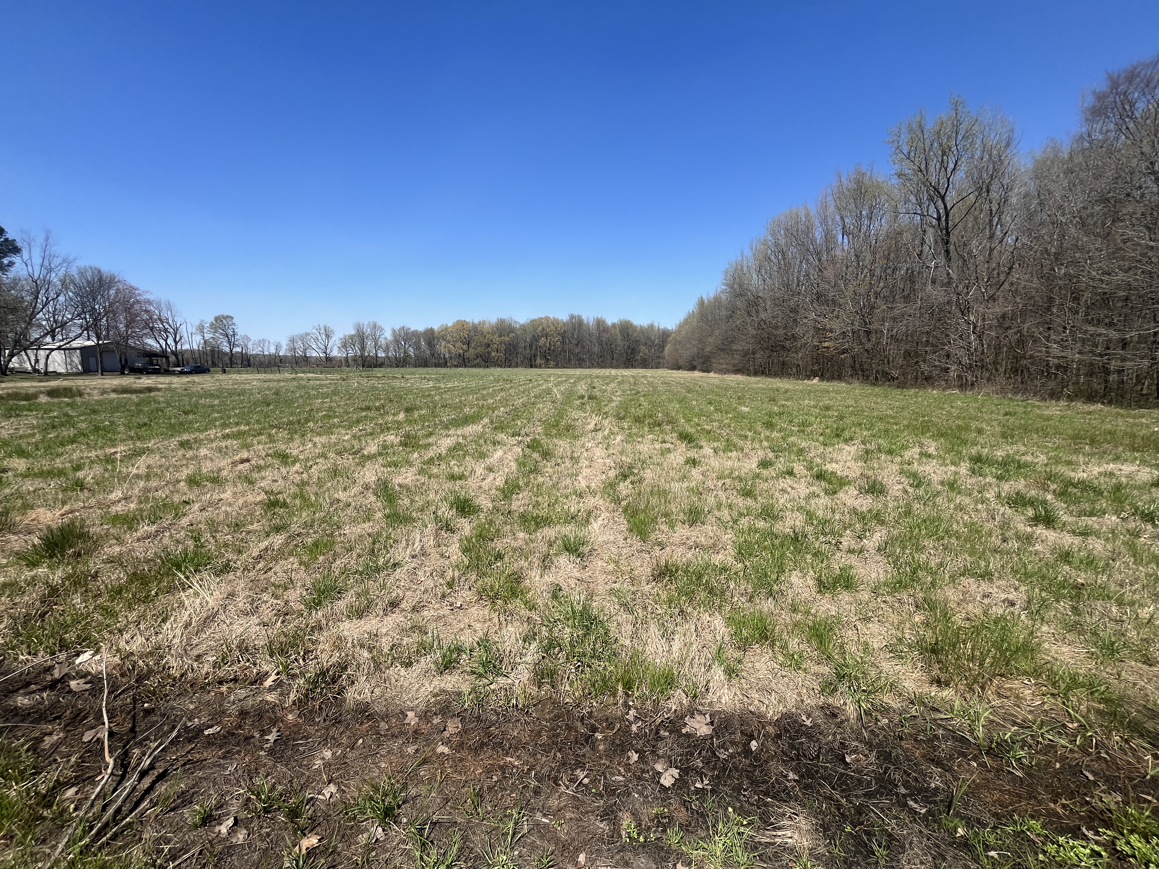 Real Estate & Personal Property Auction Image