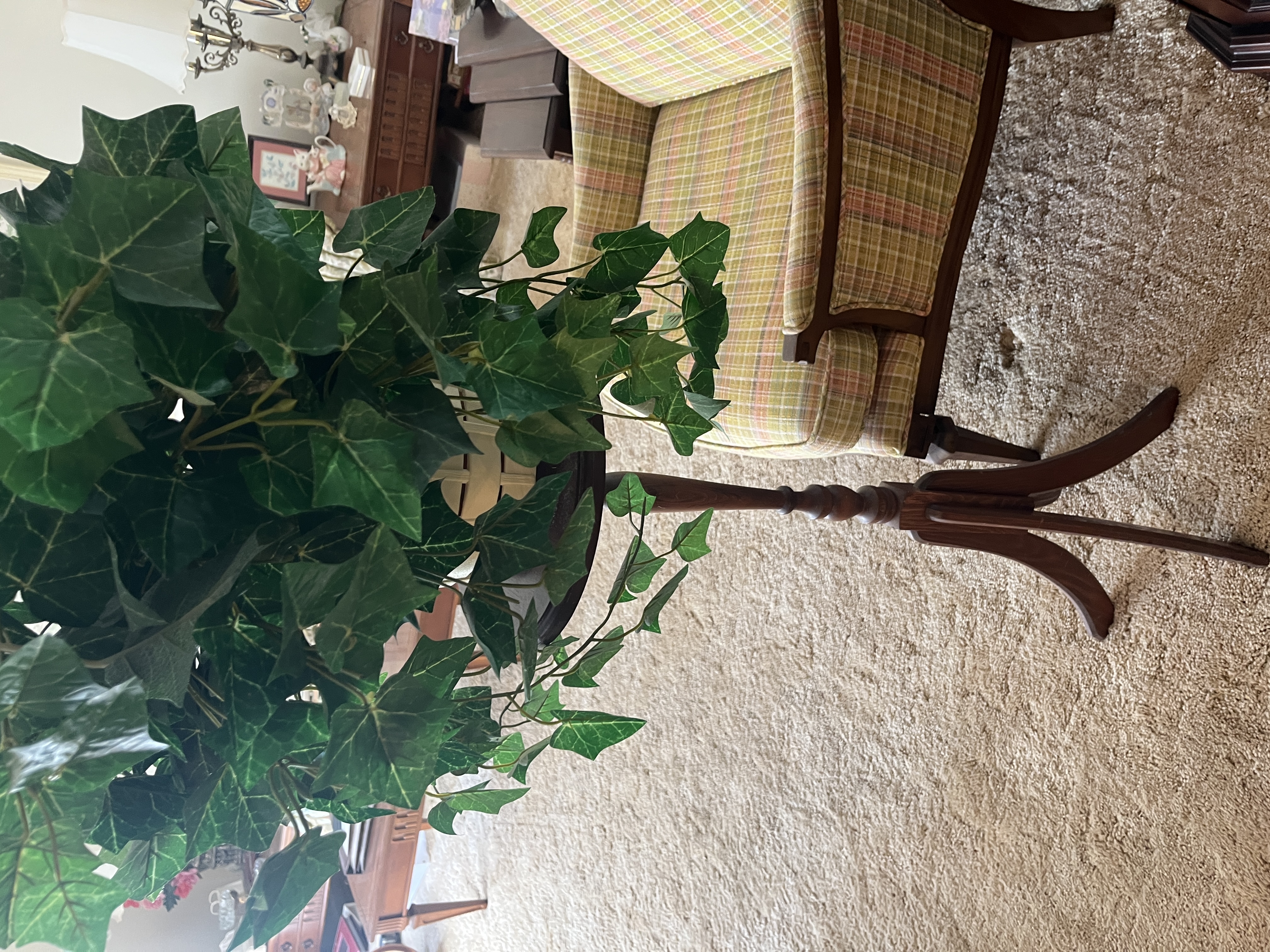 Living Estate of Ms Mary Schug Image