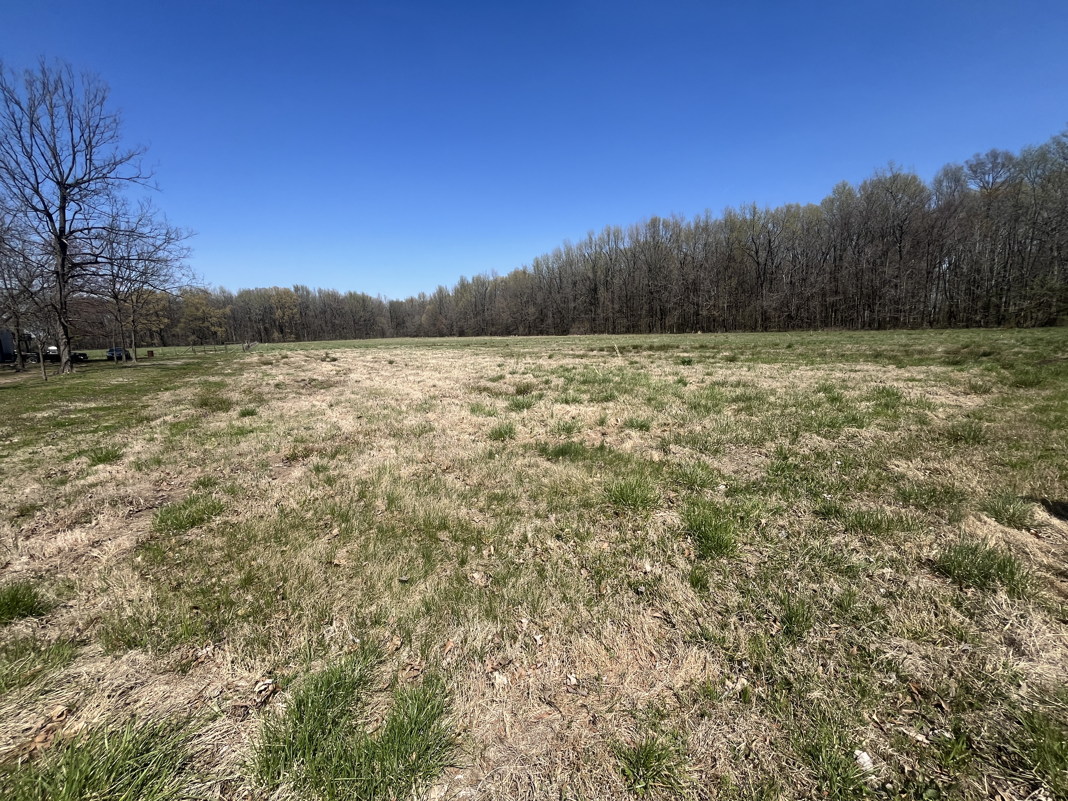 Real Estate & Personal Property Auction Image