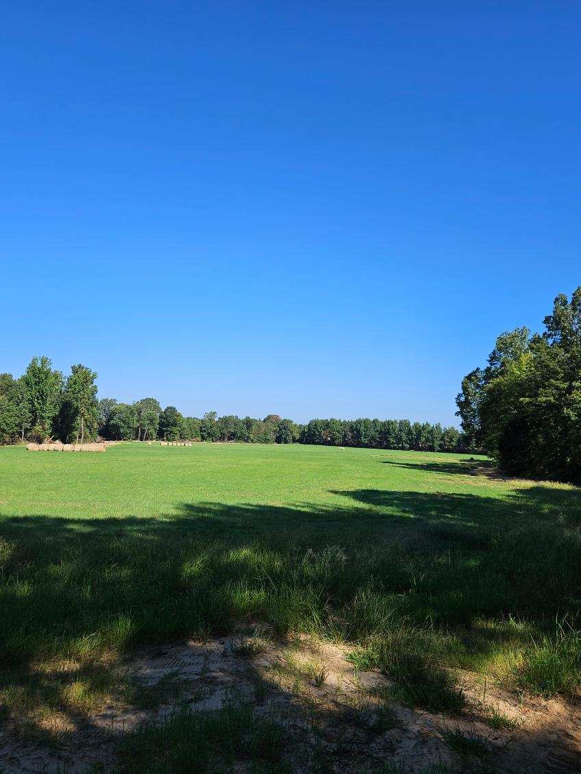 Pasture, Hay, Timber, Row Crop, Hunting Land Auction Image