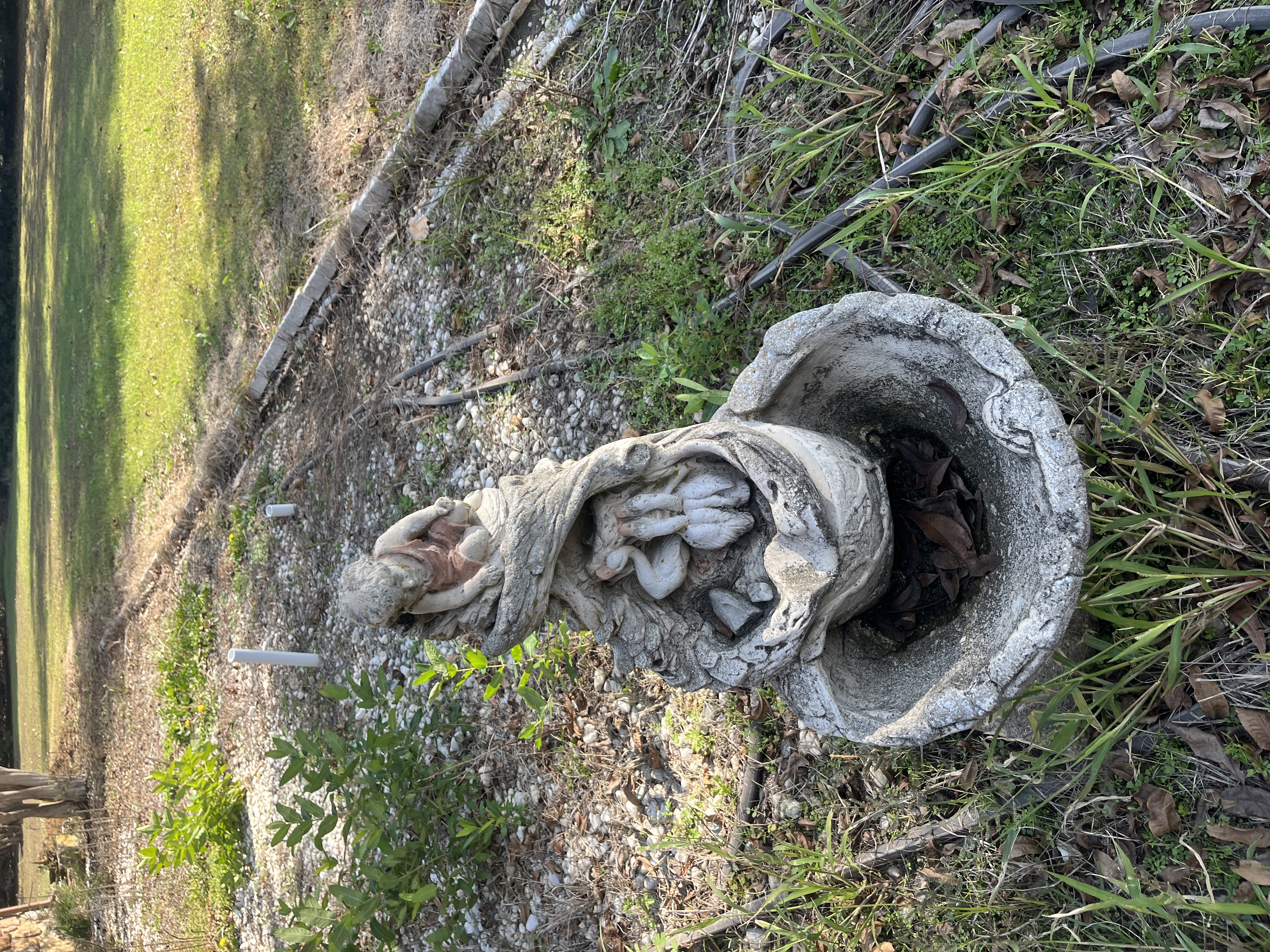 Living Estate of Ms Mary Schug Image