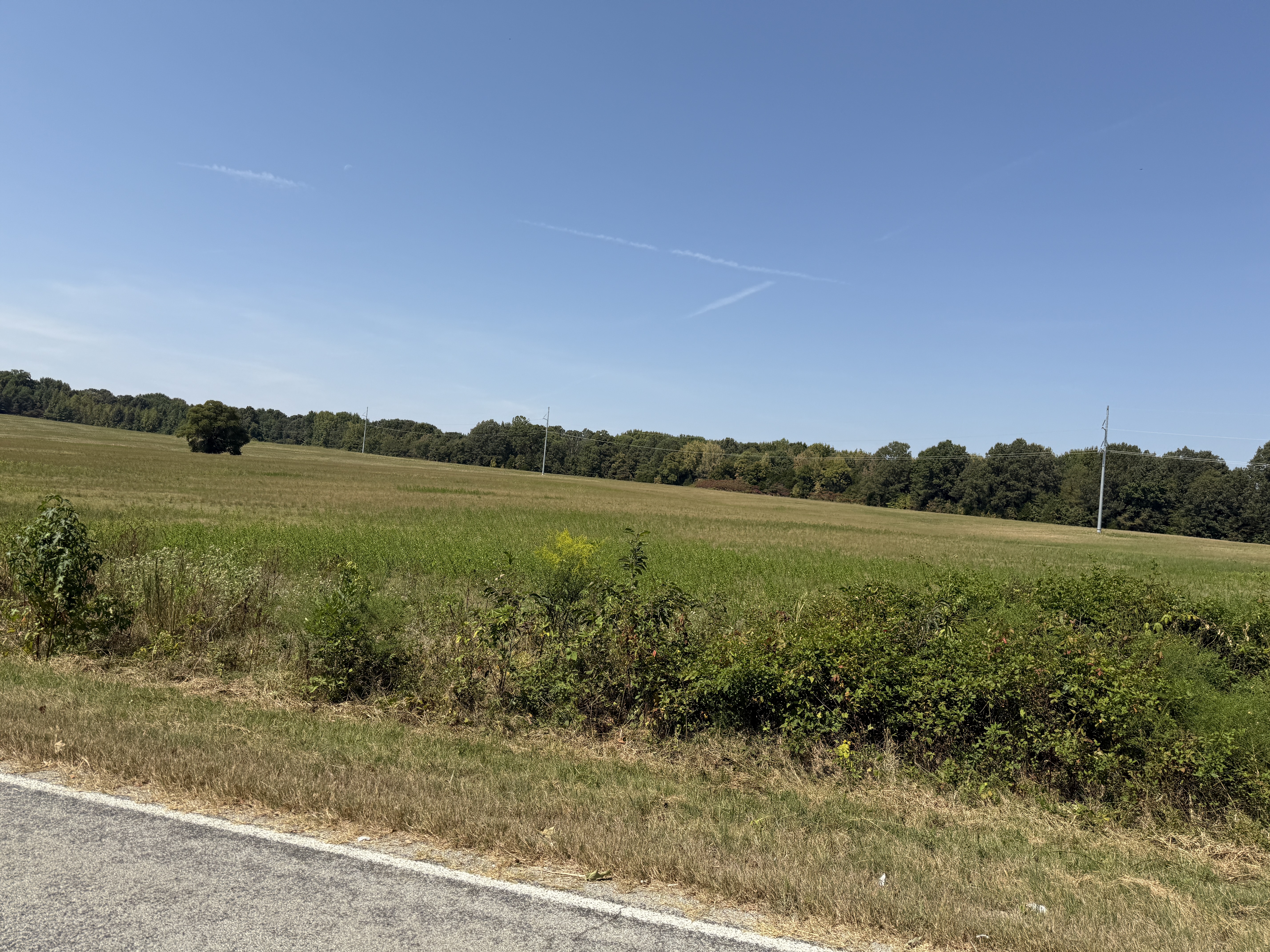 Real Estate & Personal Property Auction Image