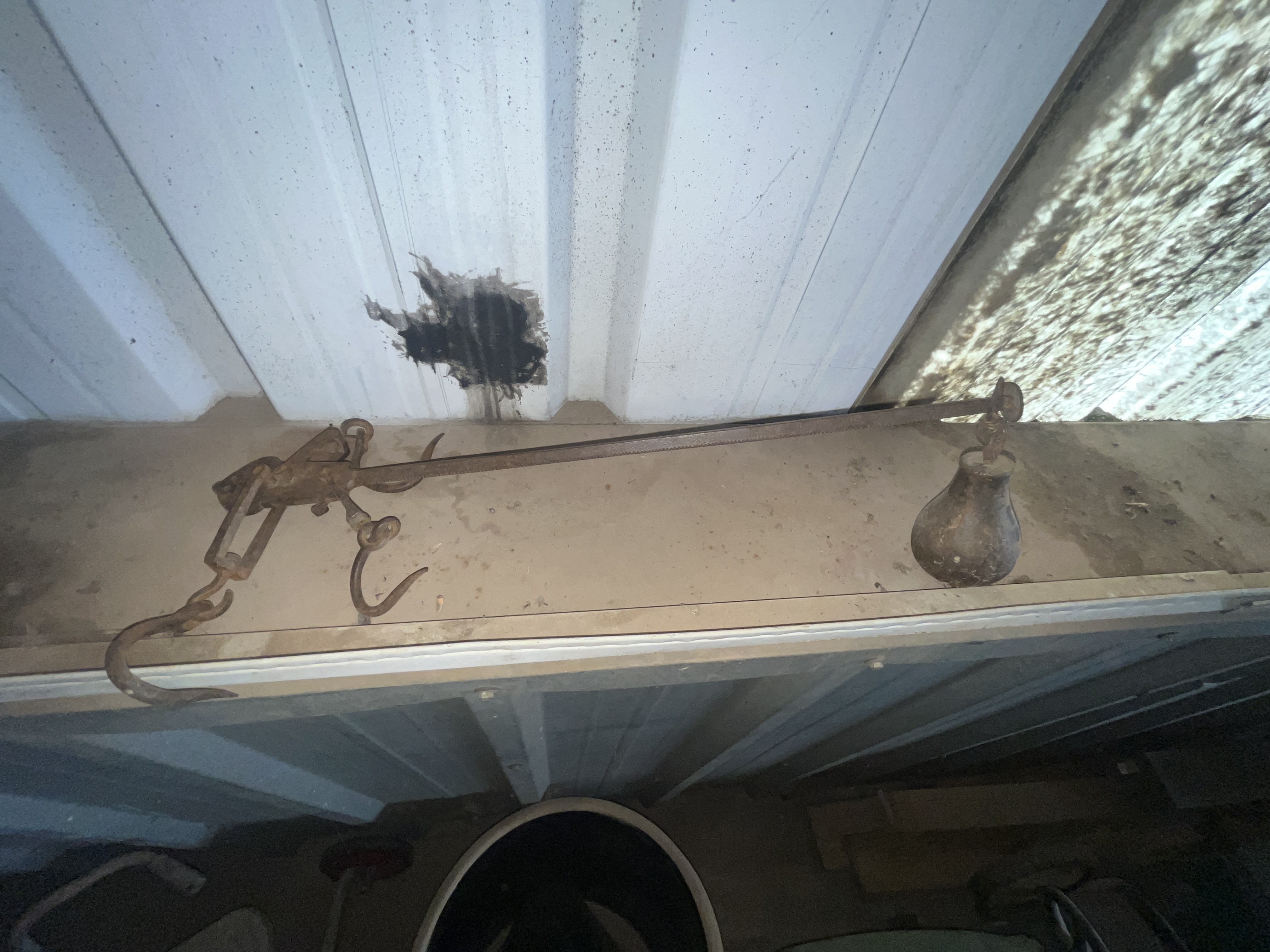 Collector's Dream Auction Image