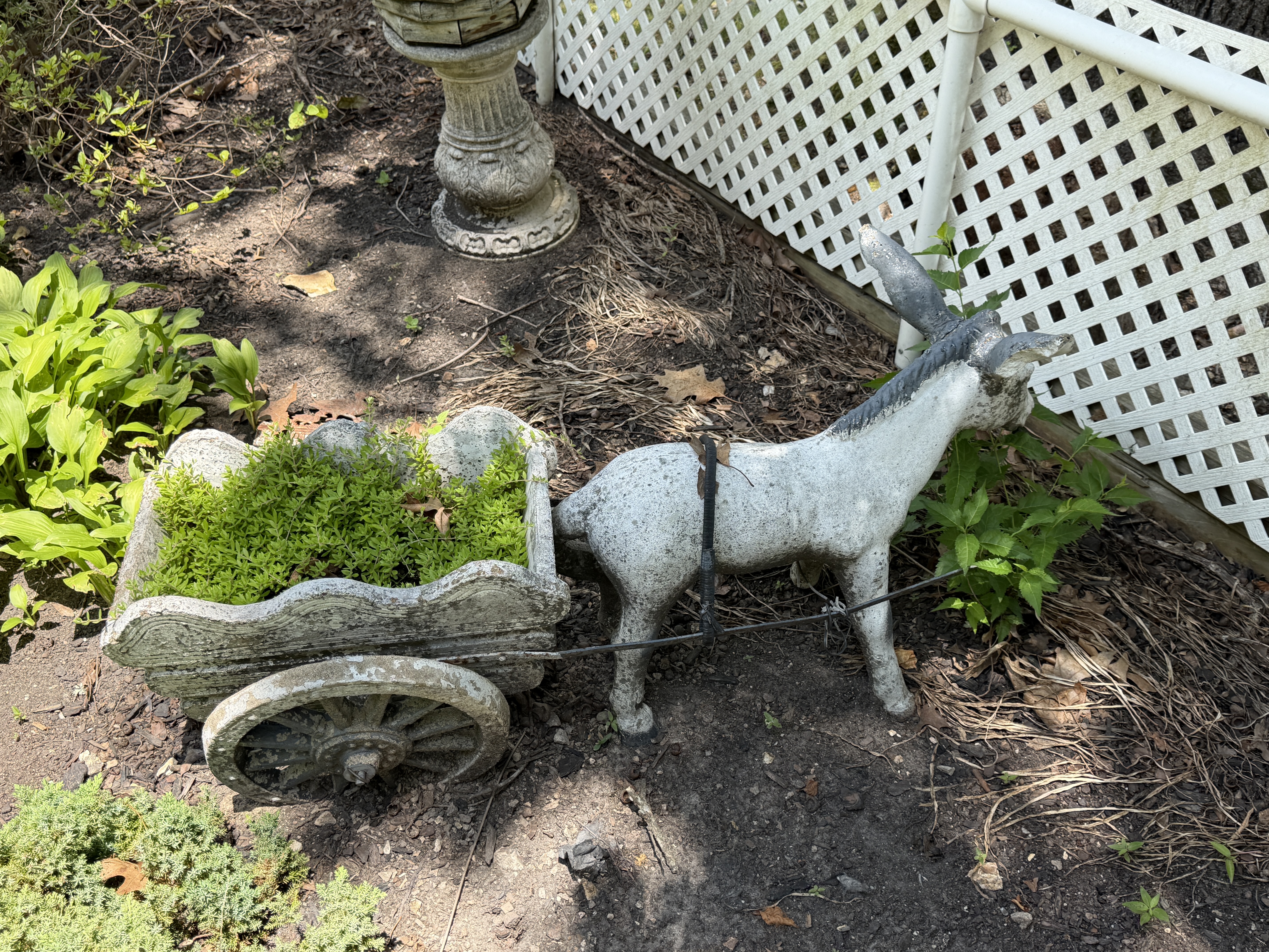 Estate Auction Image