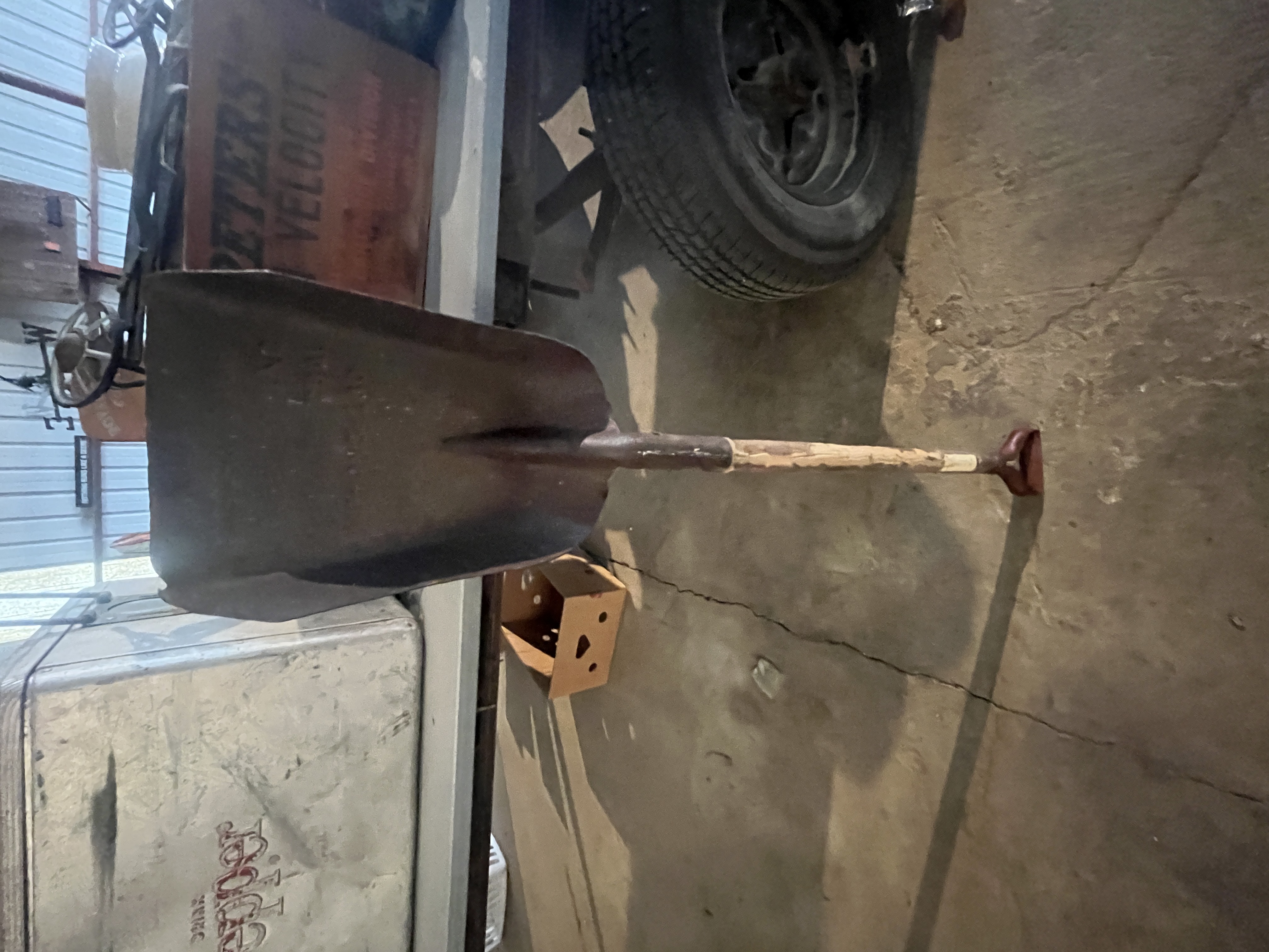 Collector's Dream Auction Image