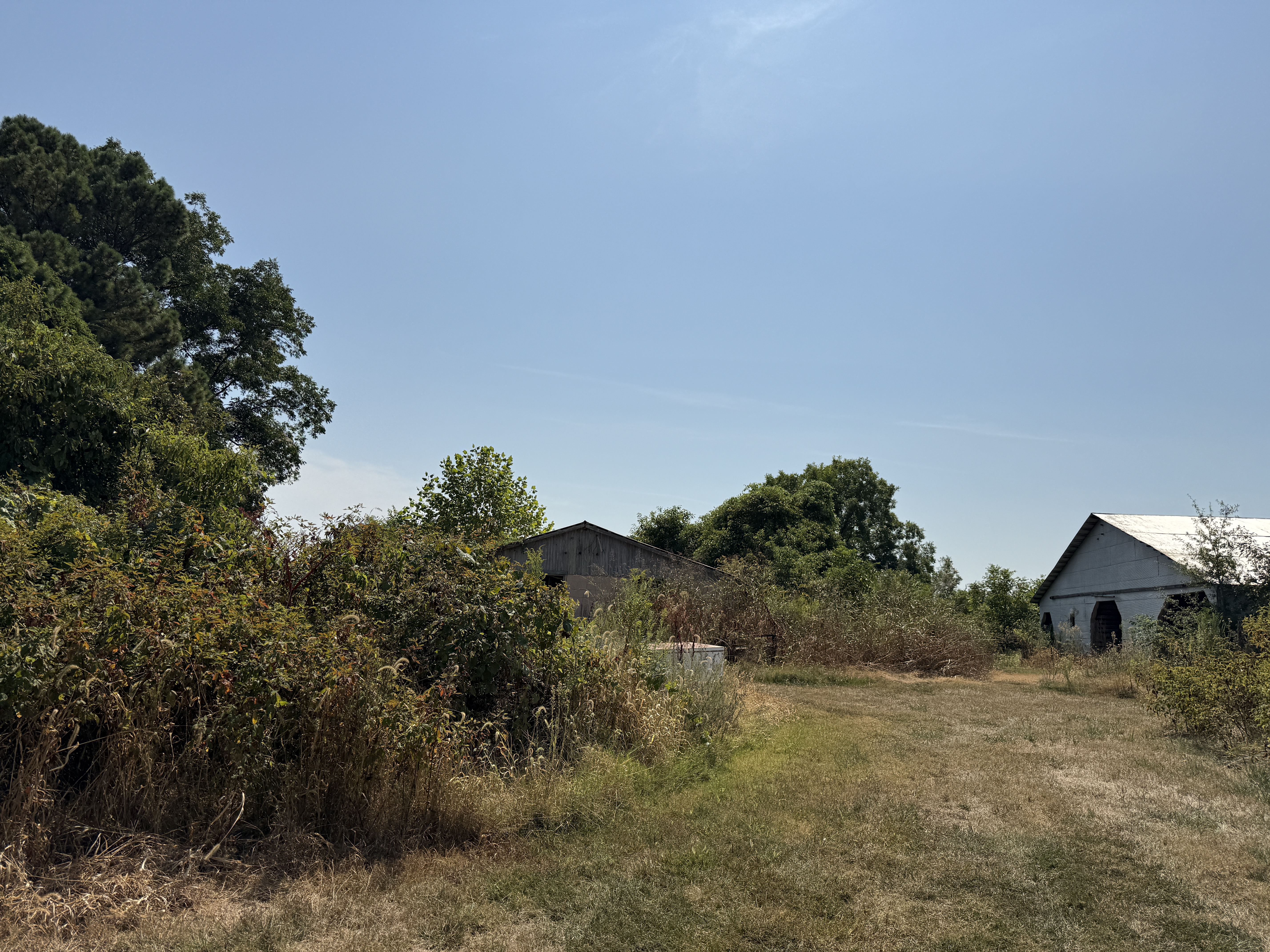 Real Estate & Personal Property Auction Image