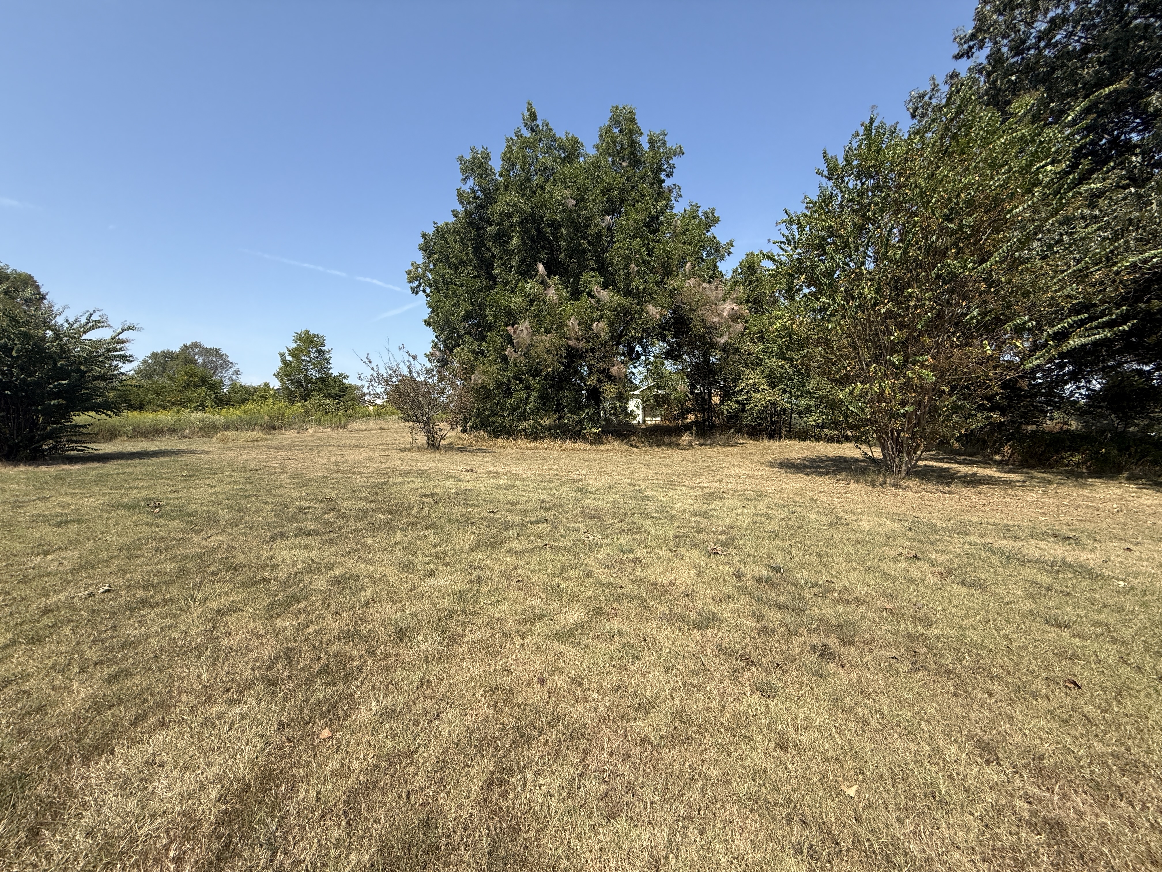 Real Estate & Personal Property Auction Image
