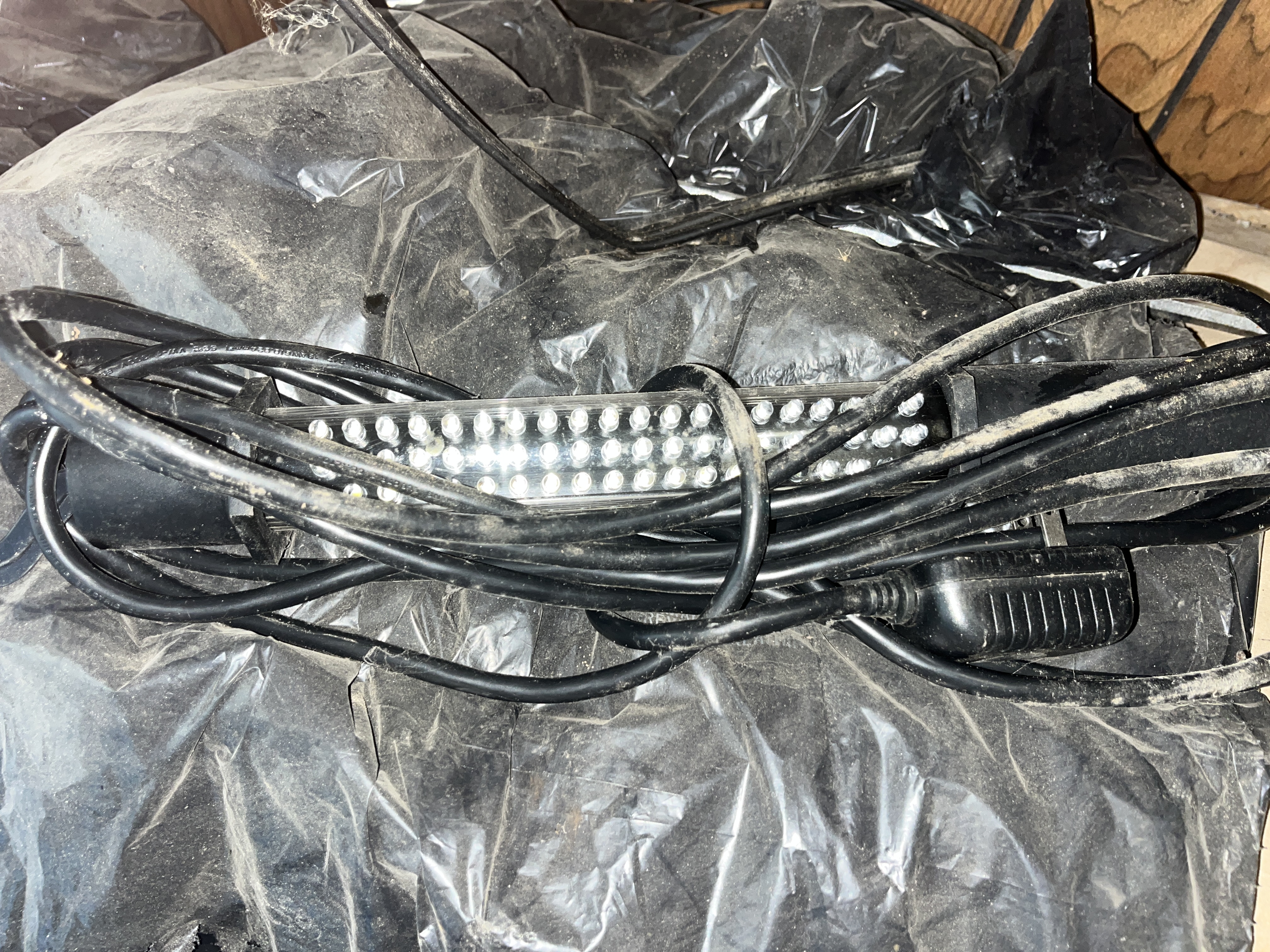 Living Estate of Ms Mary Schug Image