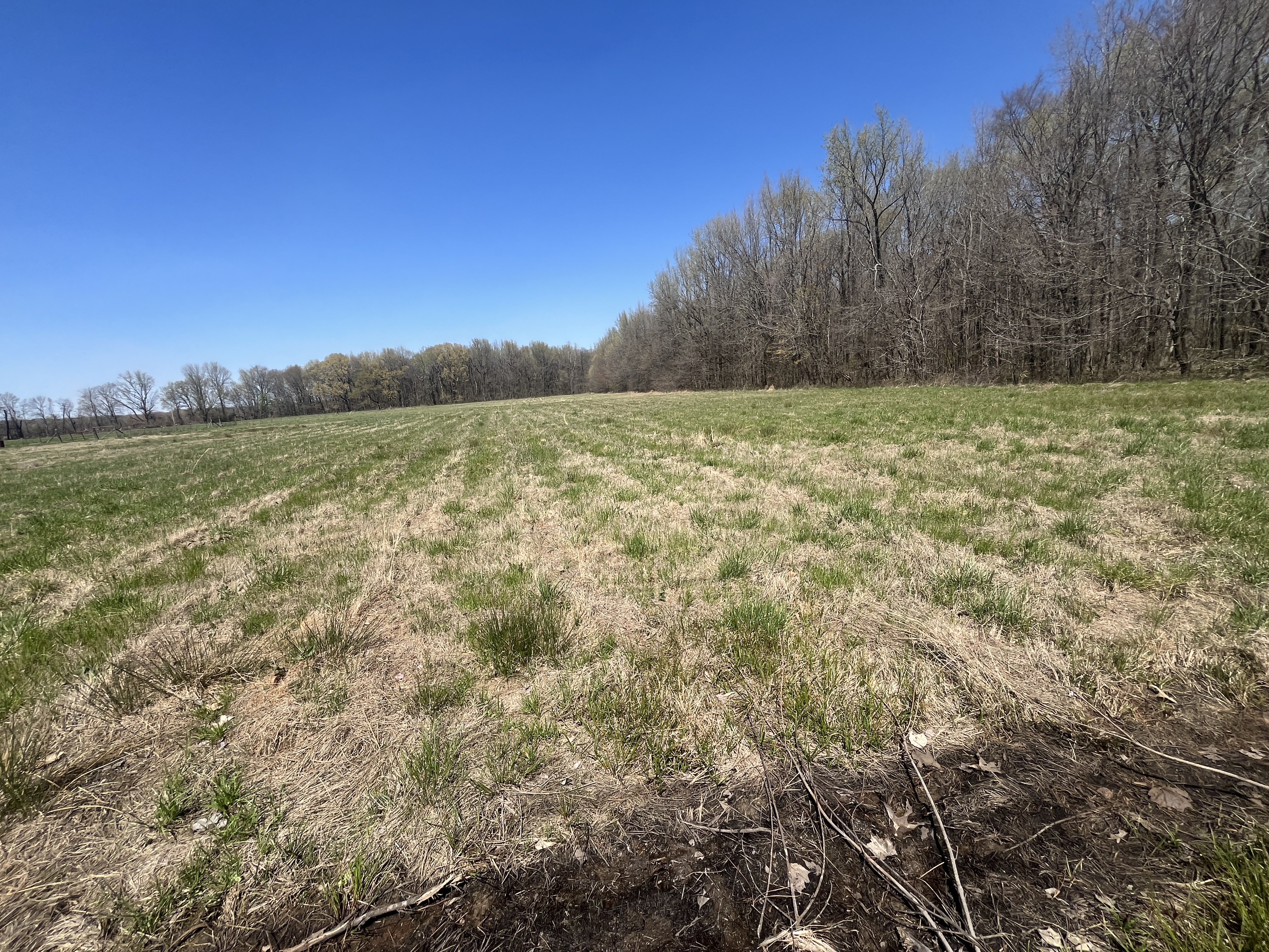 Real Estate & Personal Property Auction Image