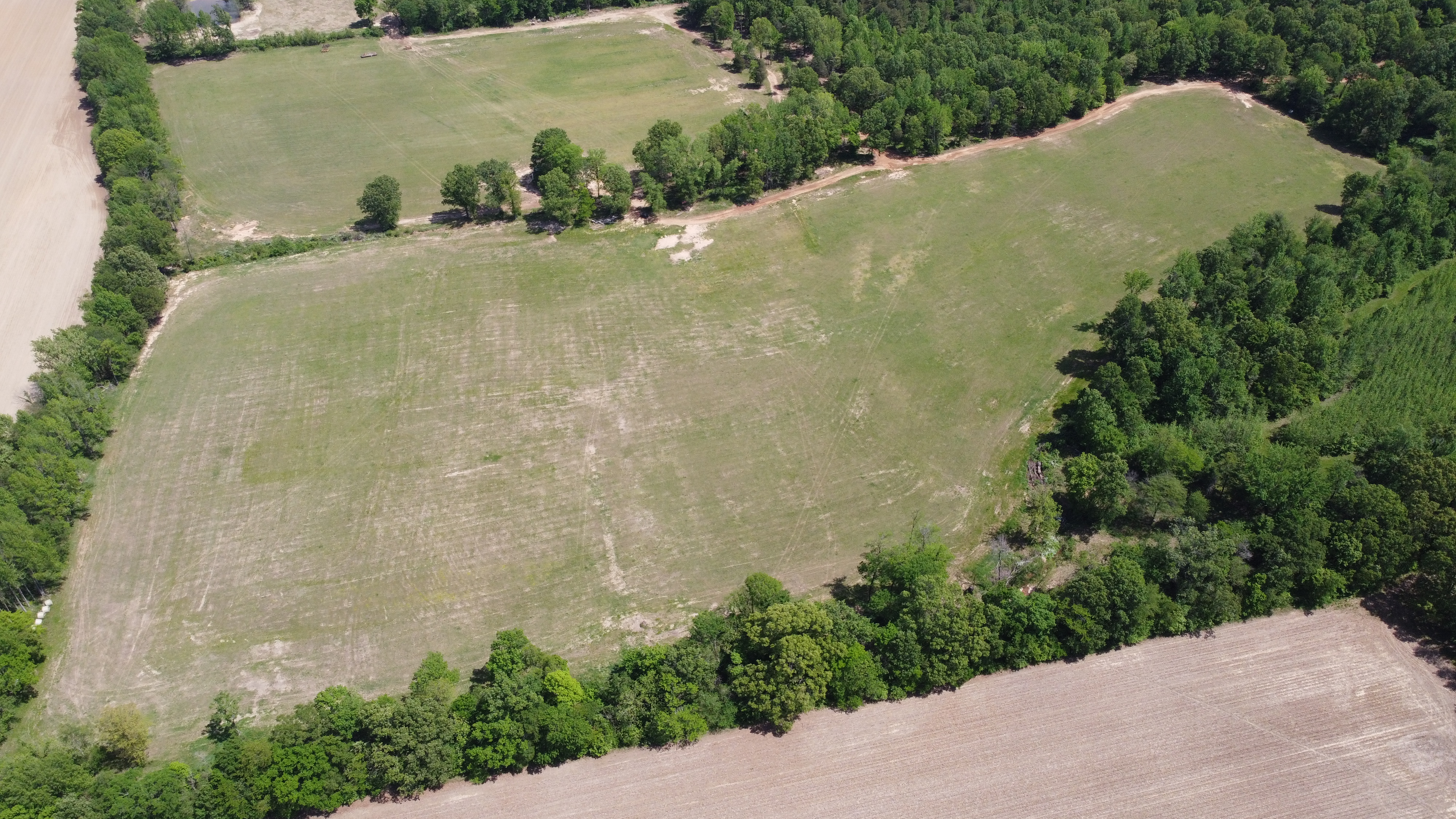Pasture, Hay, Timber, Row Crop, Hunting Land Auction Image