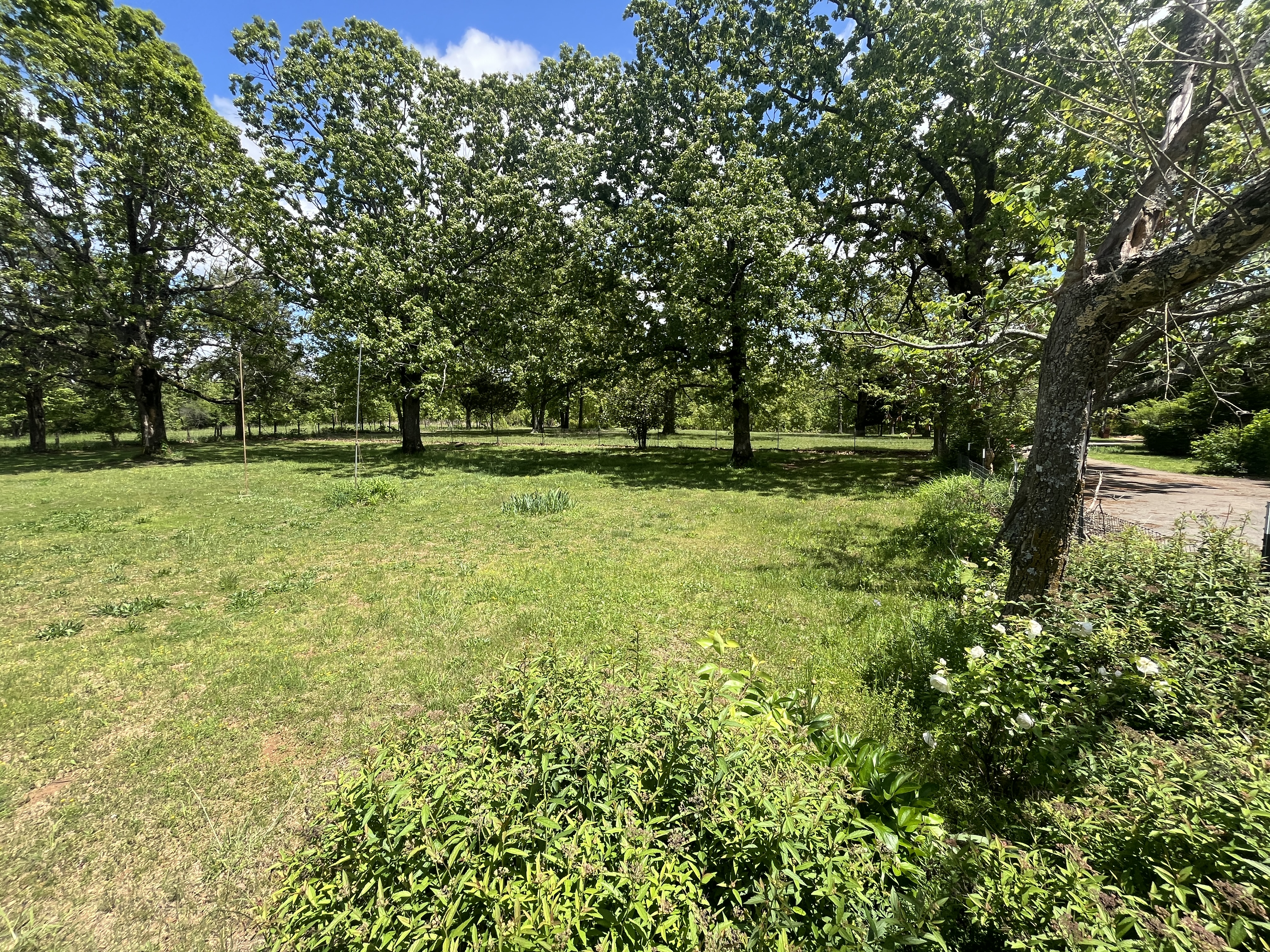 Real Estate & Personal Property Auction - McClaran Estate Image