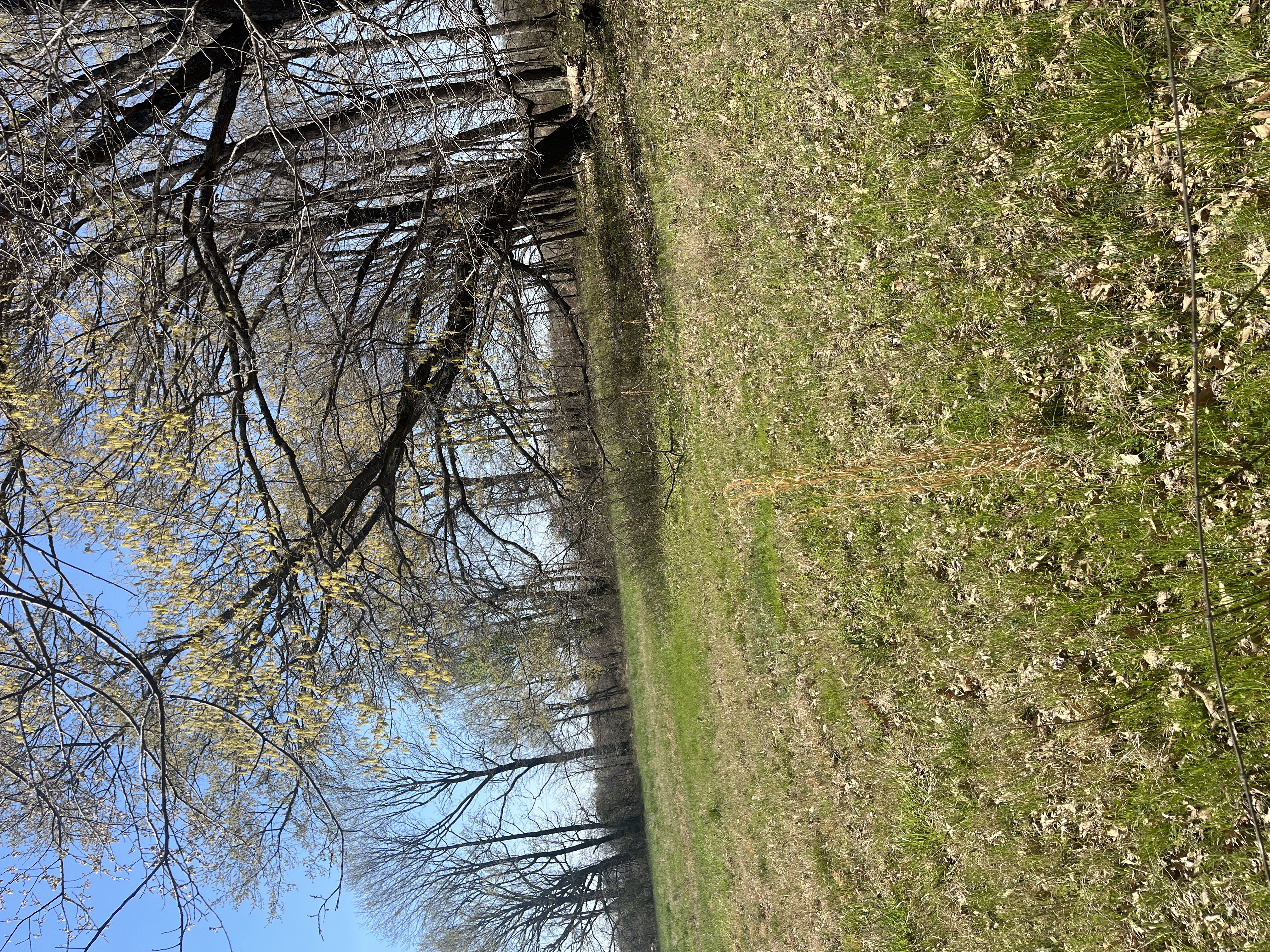 Real Estate & Personal Property Auction Image