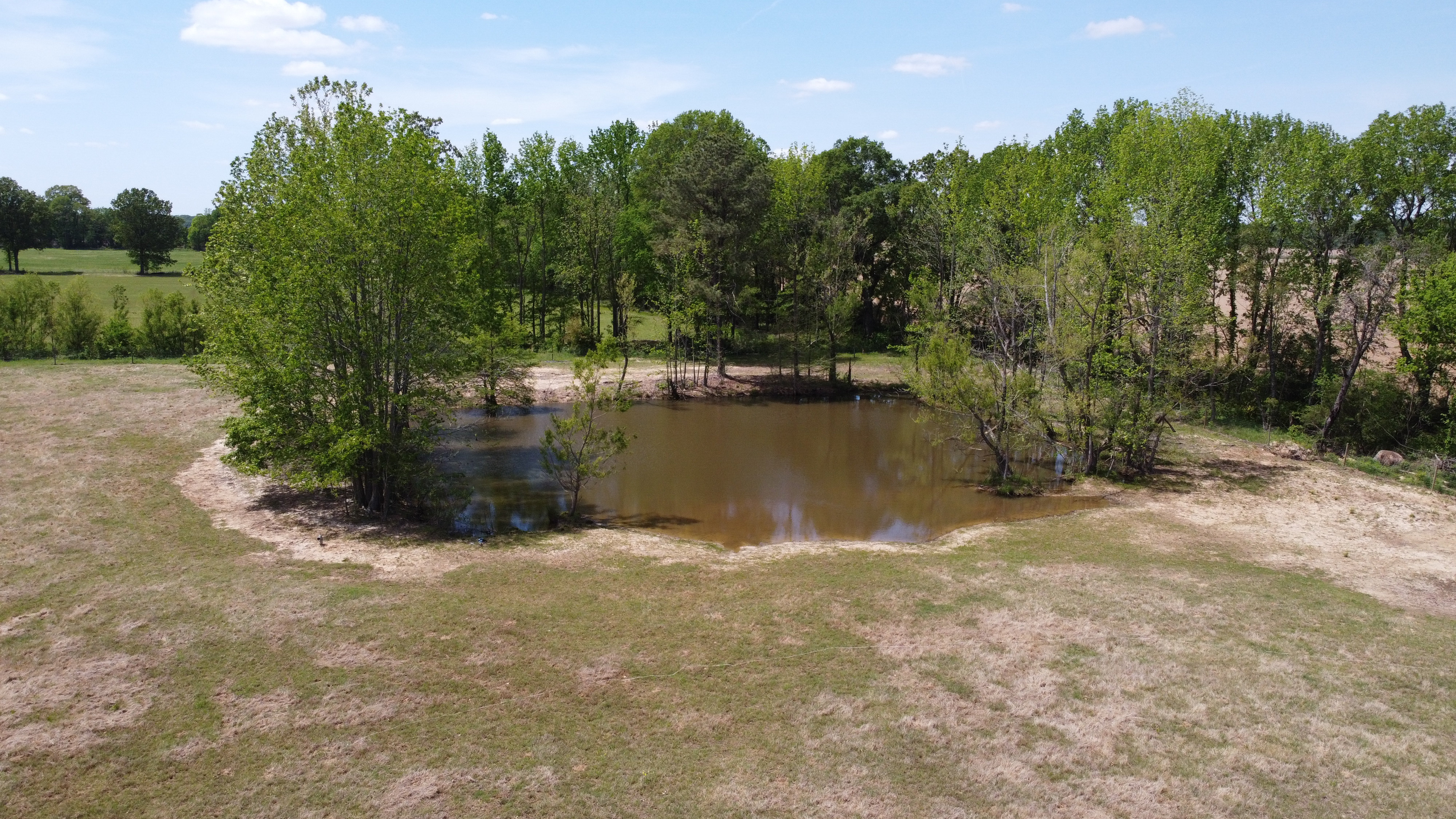 Pasture, Hay, Timber, Row Crop, Hunting Land Auction Image