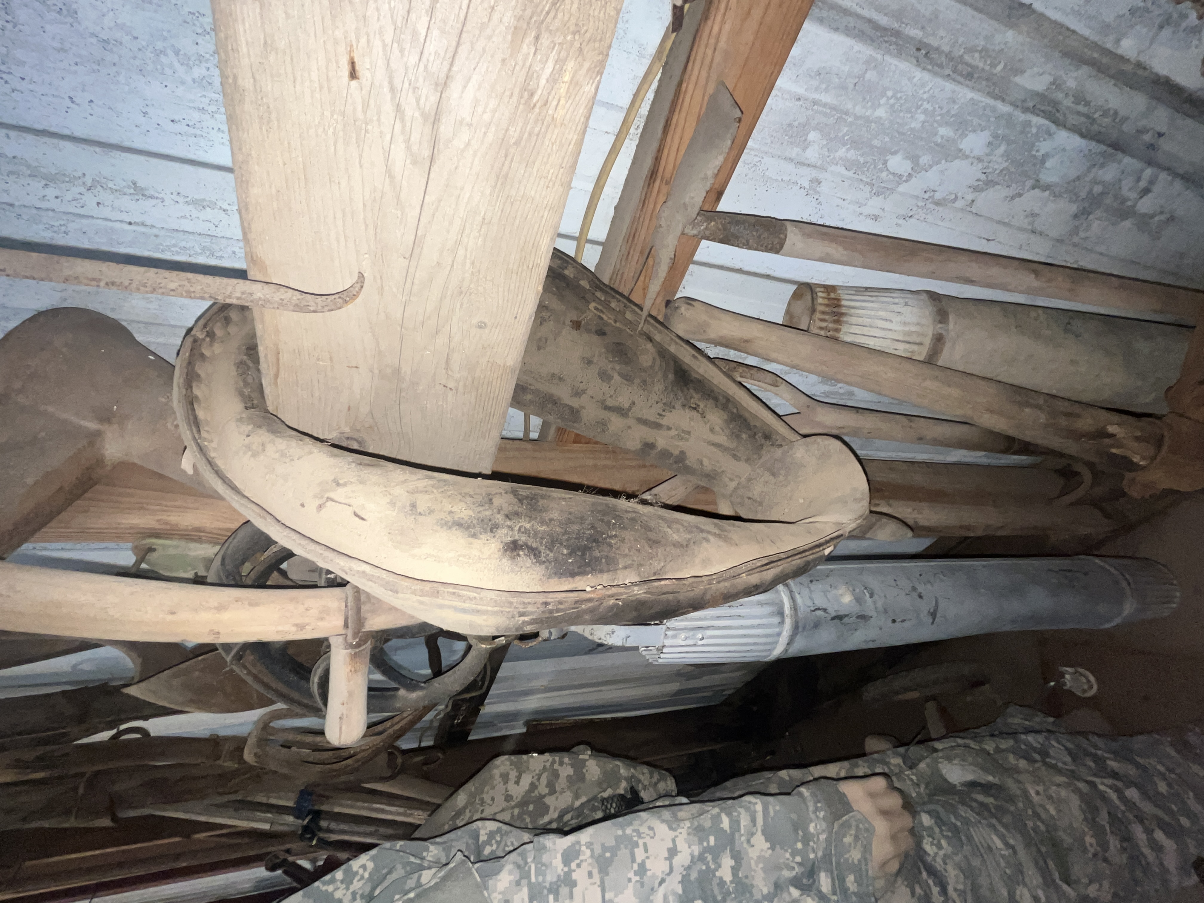 Collector's Dream Auction Image