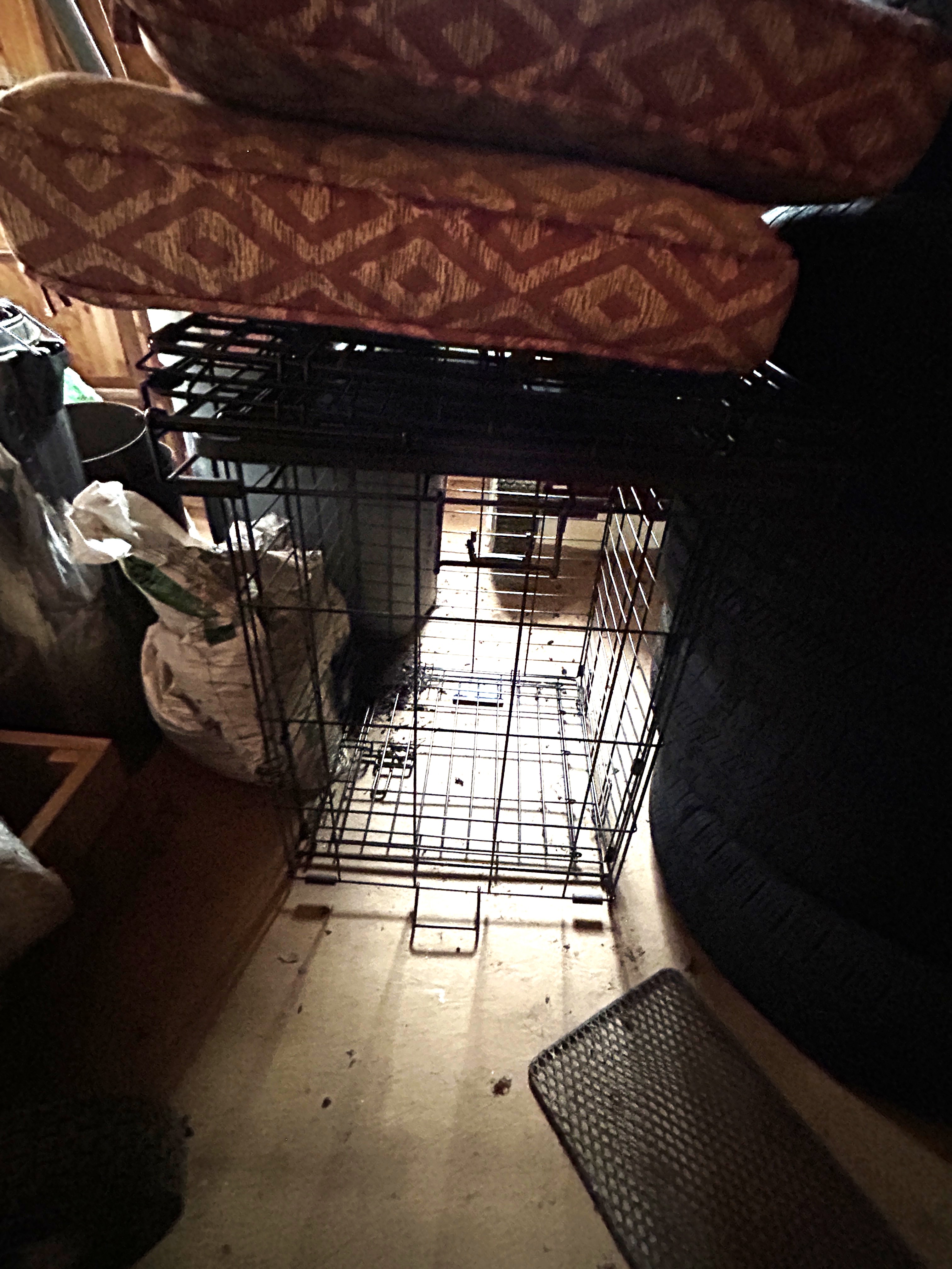 Real Estate & Personal Property Auction Image