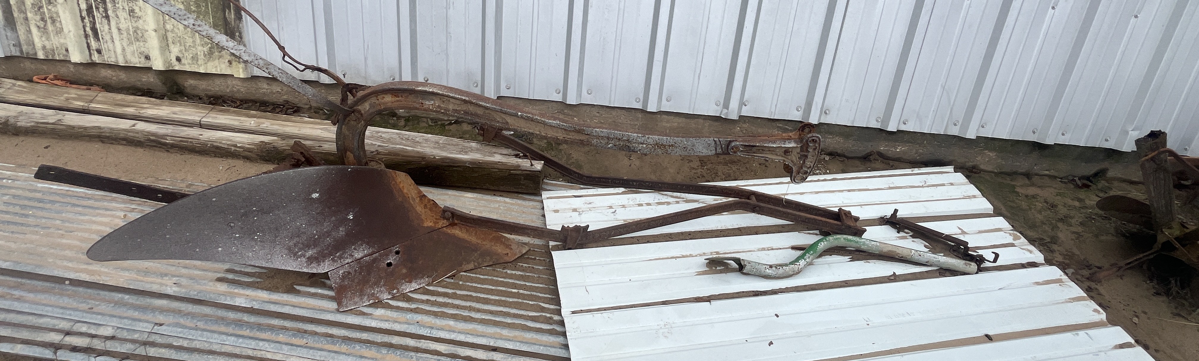 Collector's Dream Auction Image