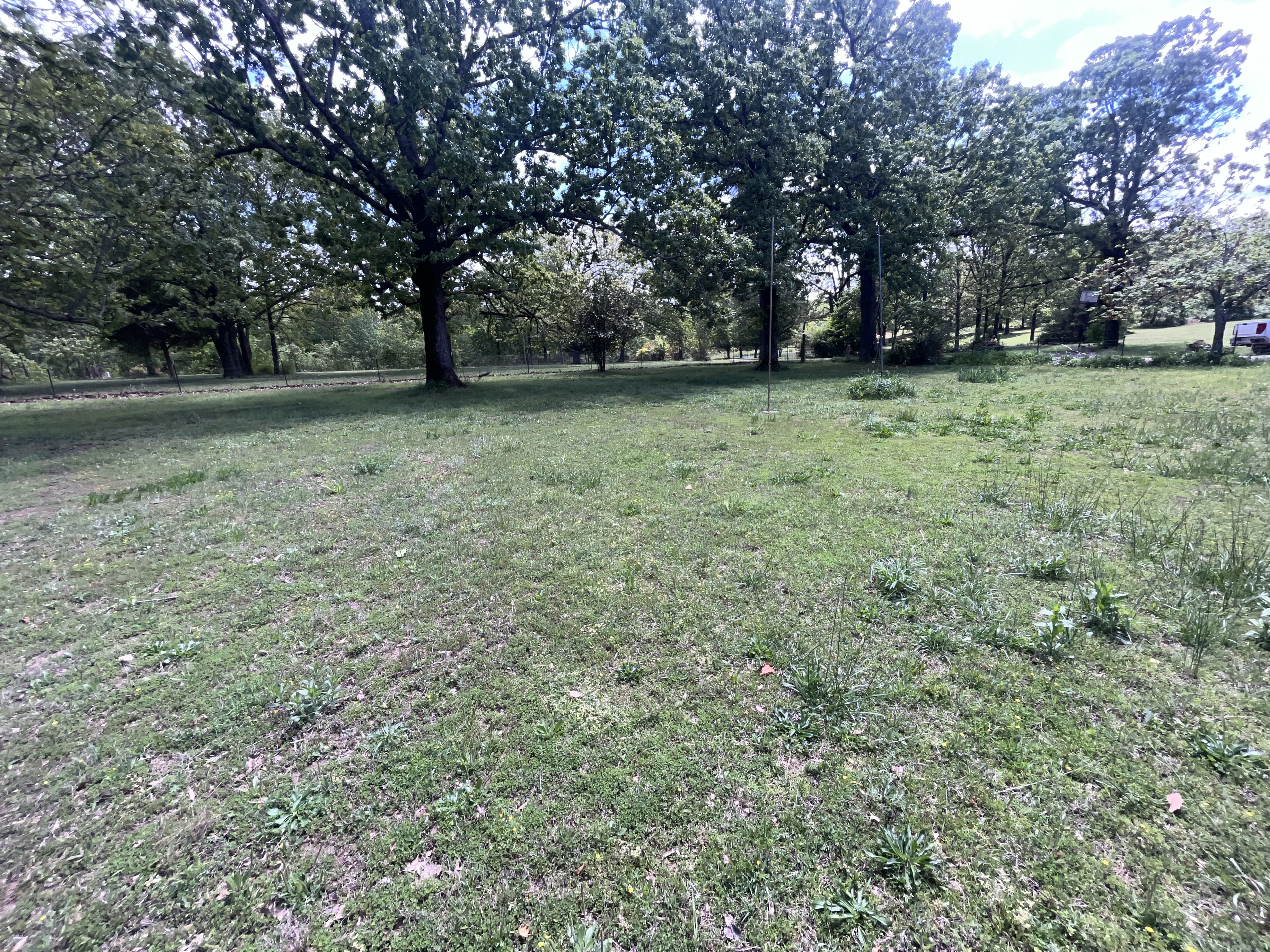 Real Estate & Personal Property Auction - McClaran Estate Image