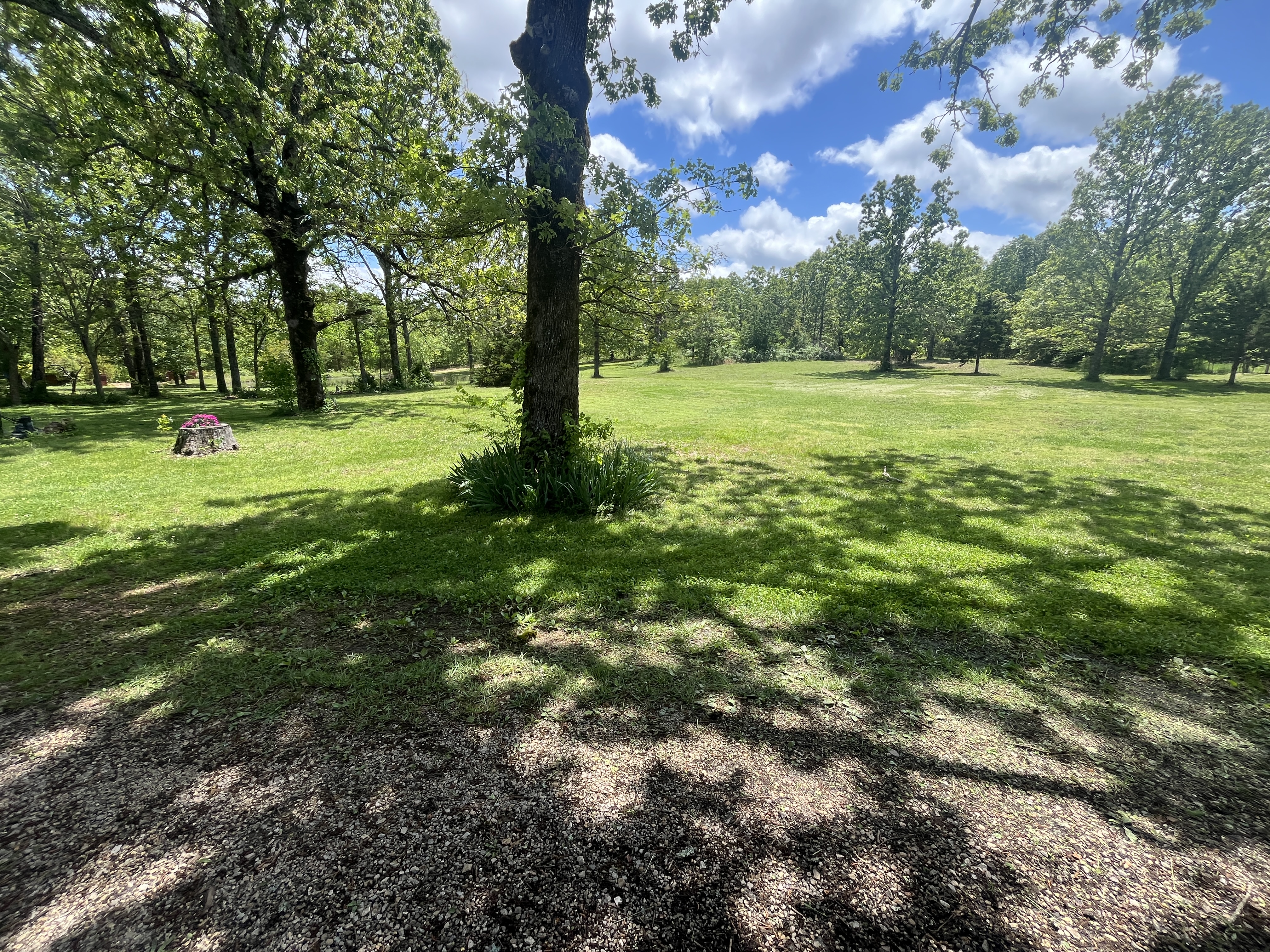 Real Estate & Personal Property Auction - McClaran Estate Image