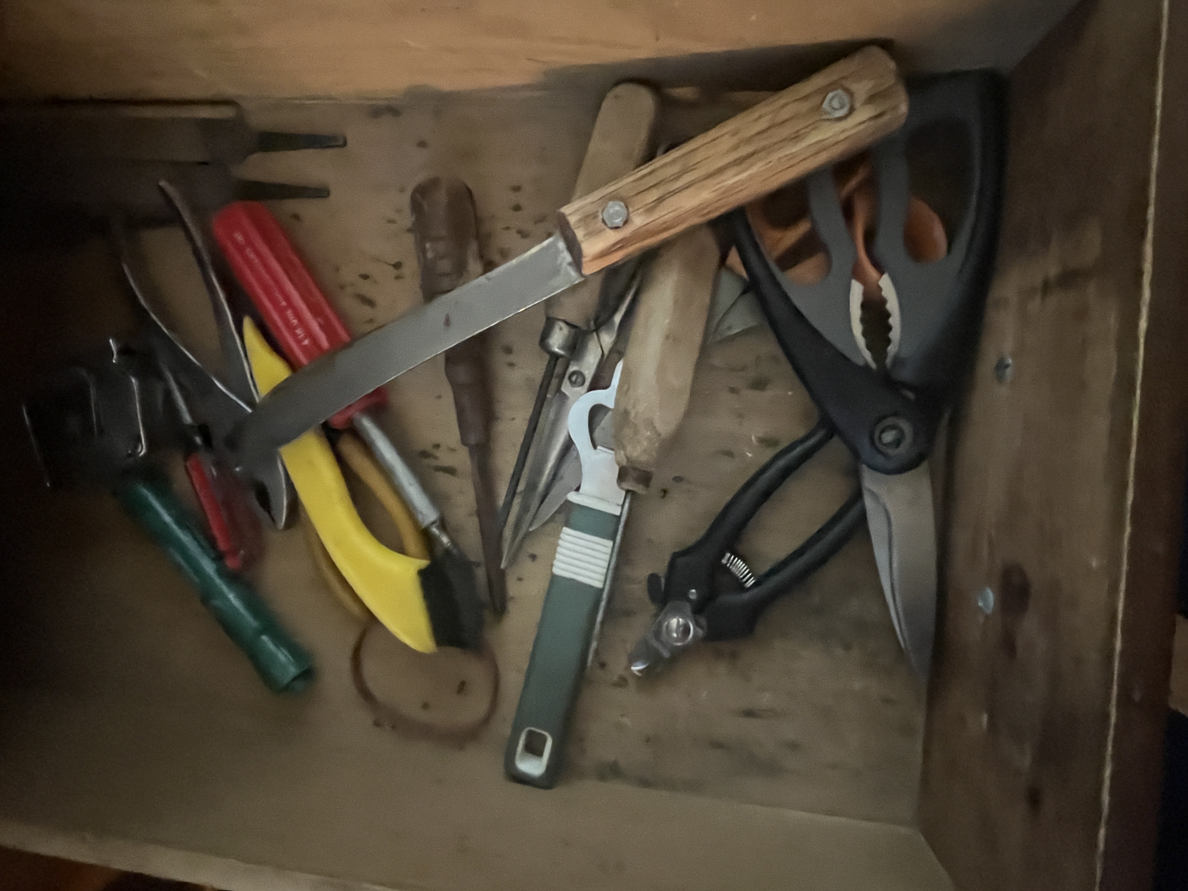 Living Estate of Ms Mary Schug Image