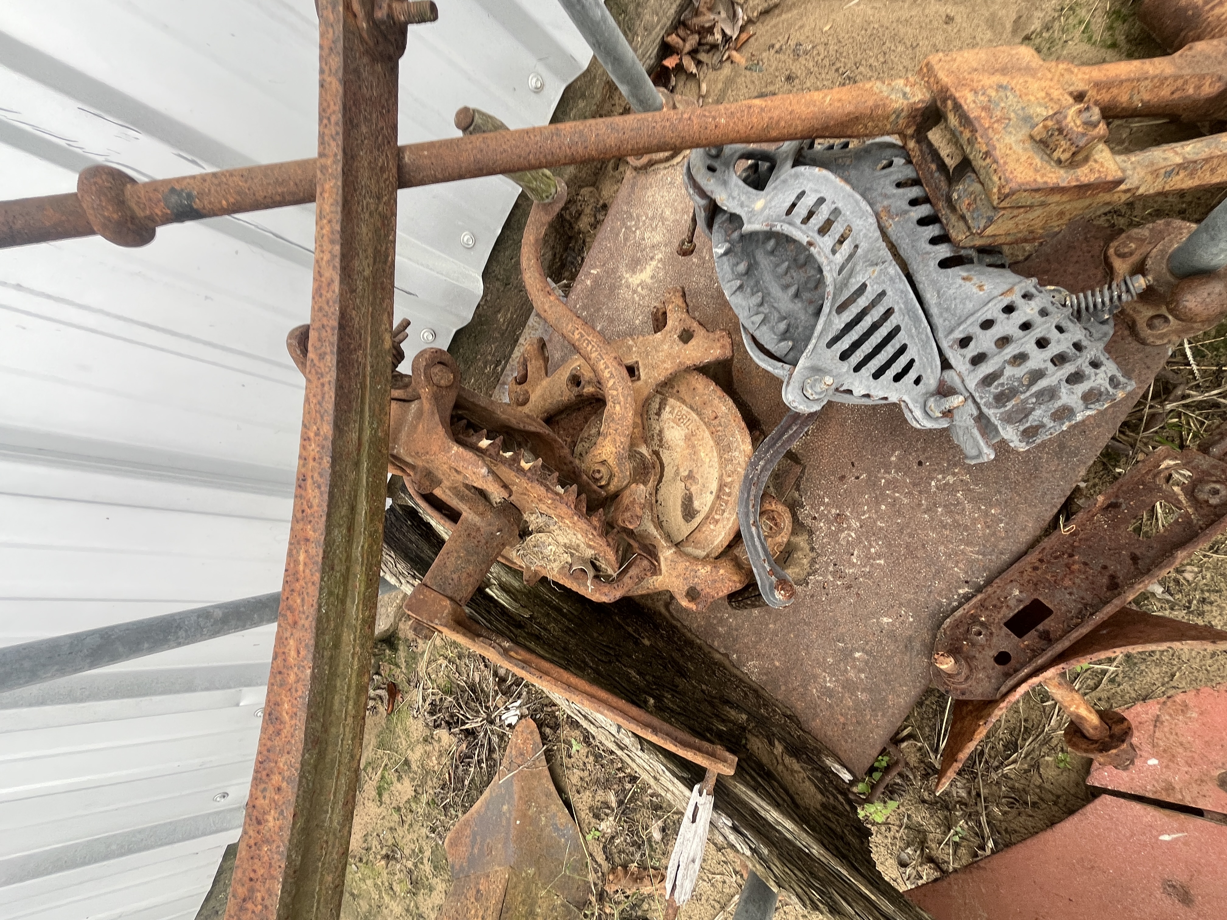 Collector's Dream Auction Image