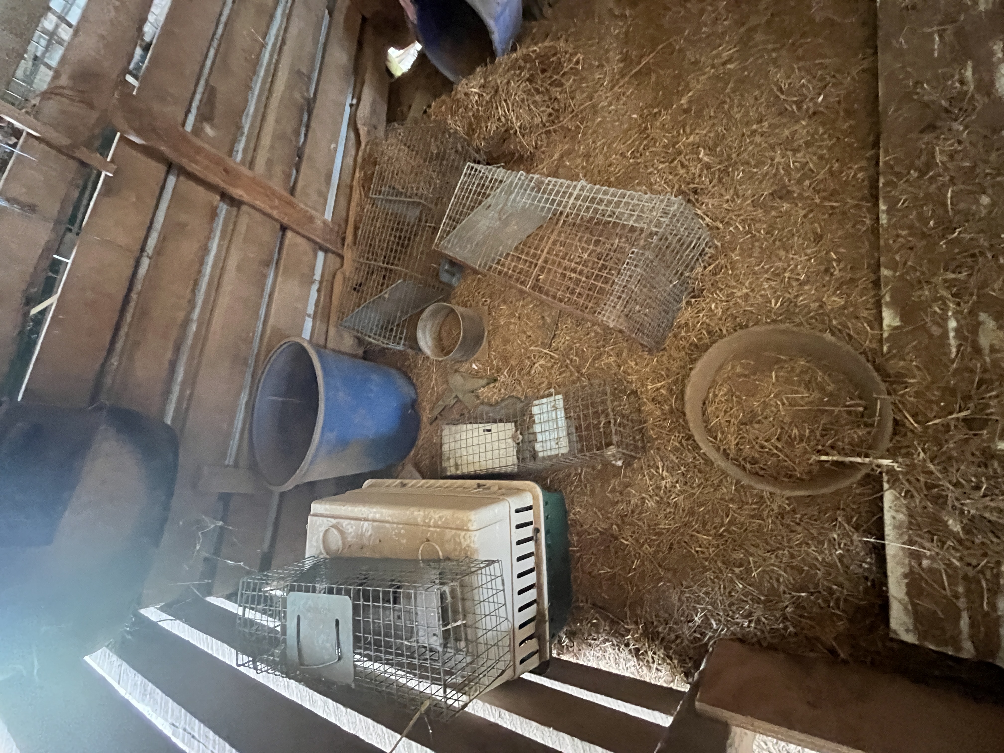 Ward Estate Auction Image