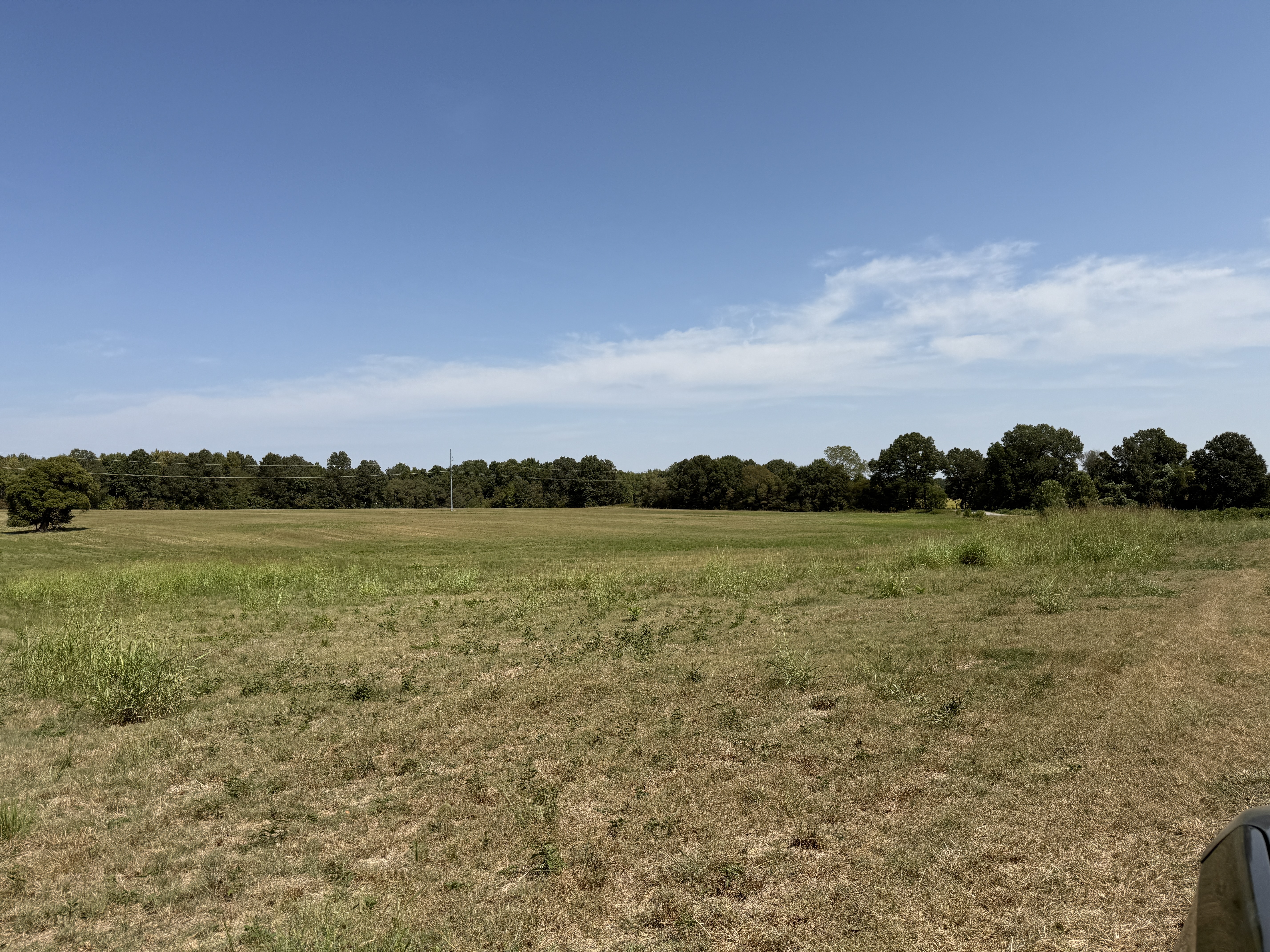Real Estate & Personal Property Auction Image