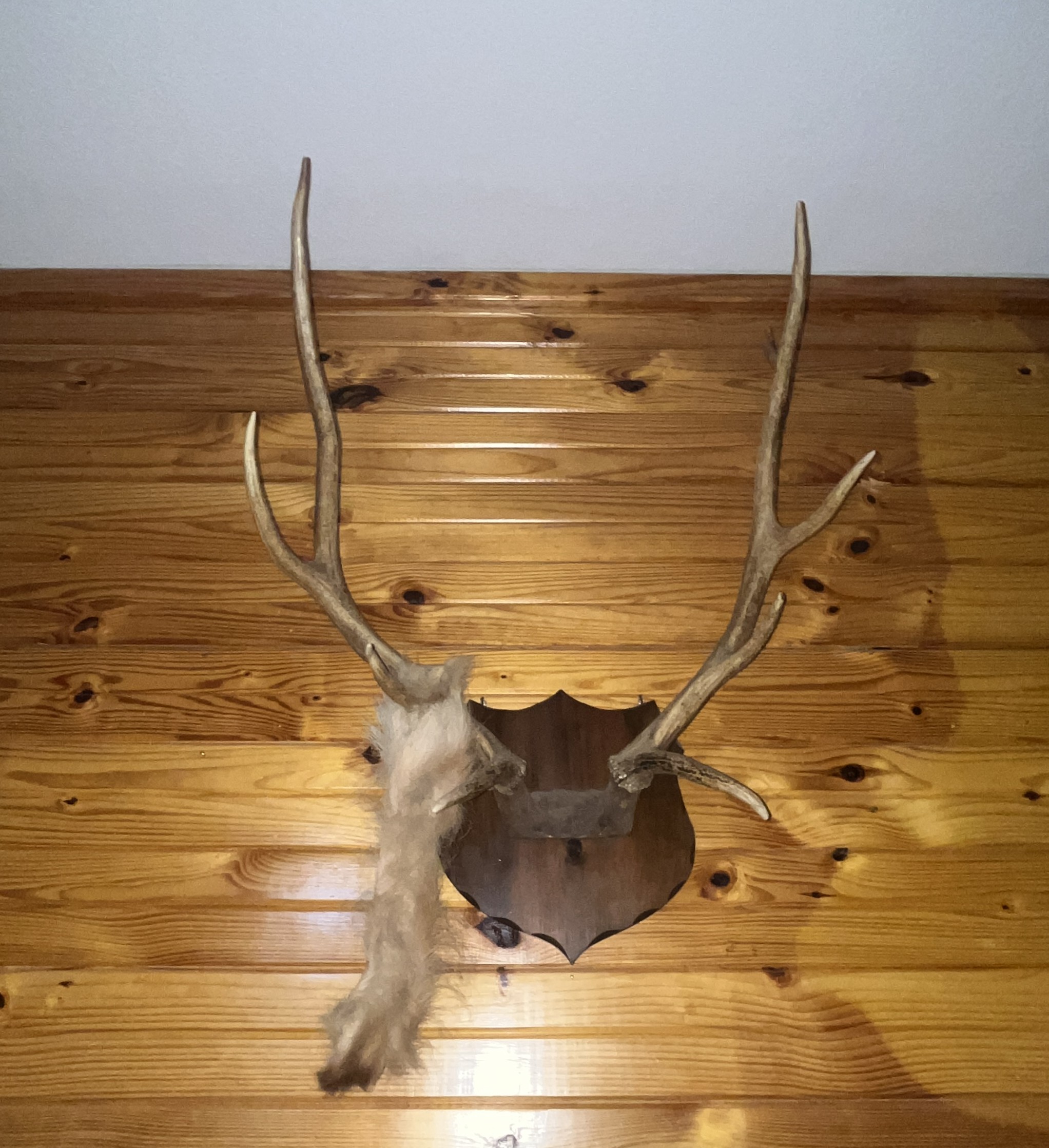 Varvil Estate Auction Image